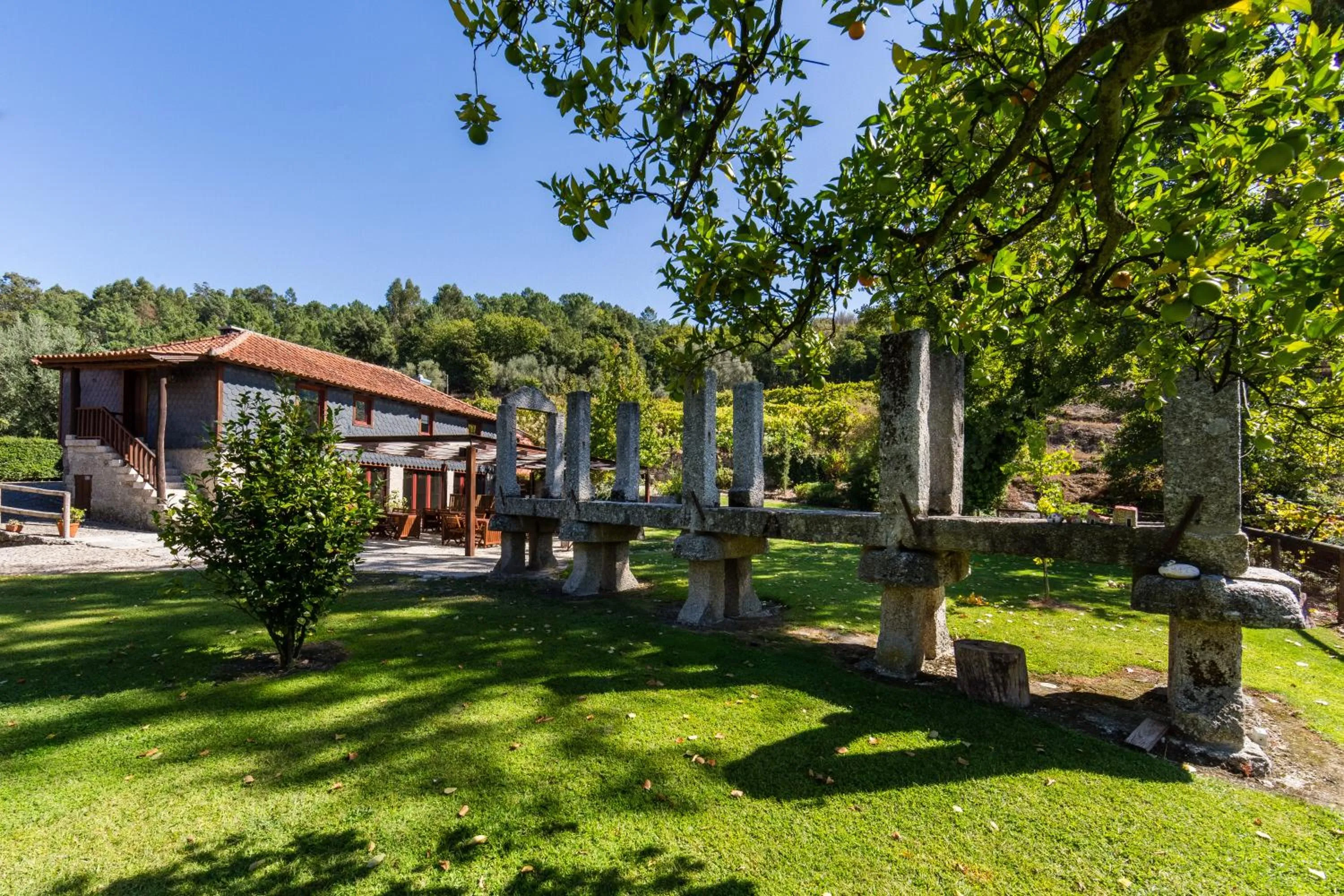 Garden view in Quinta da Pousadela - Agroturismo