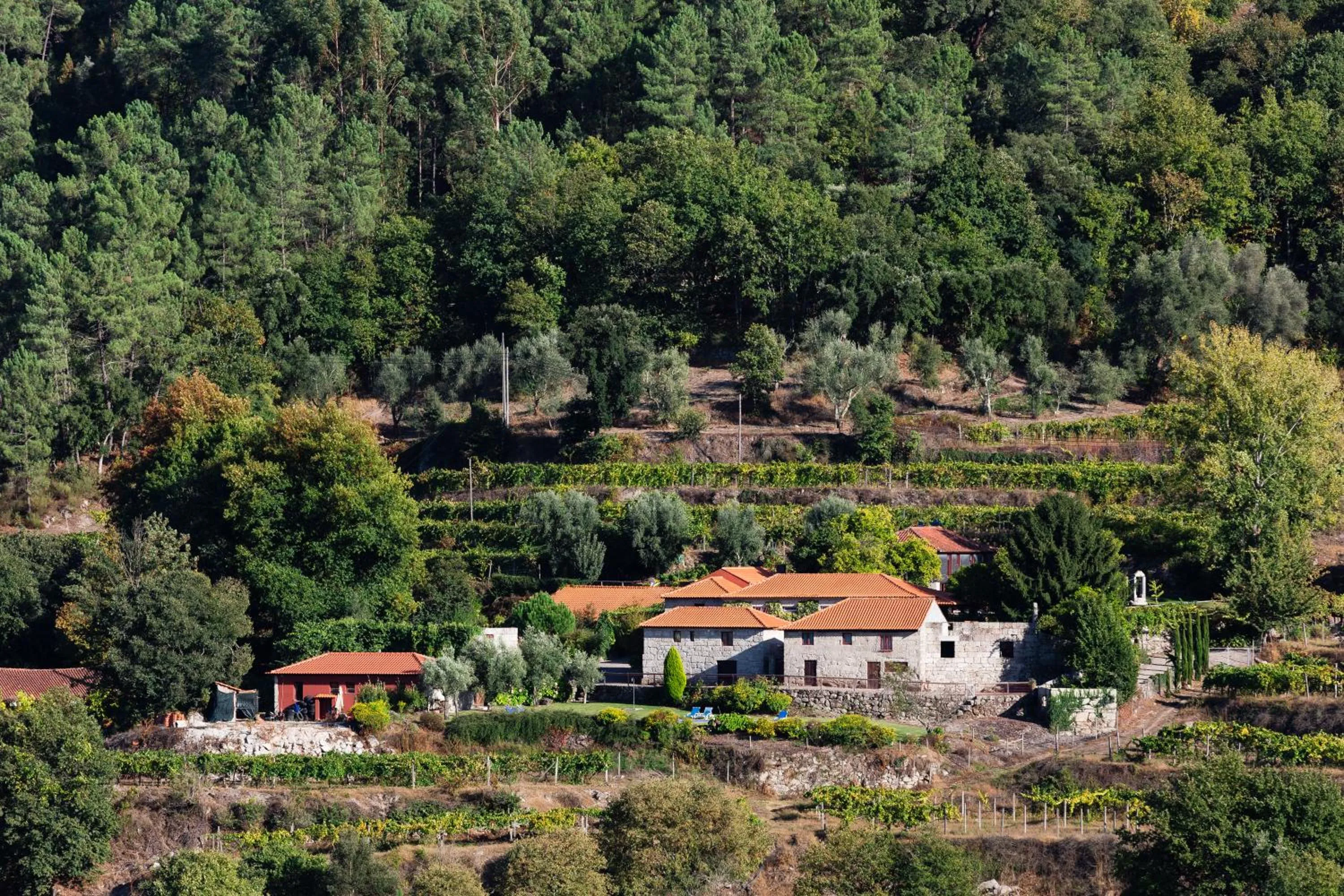 Property building in Quinta da Pousadela - Agroturismo