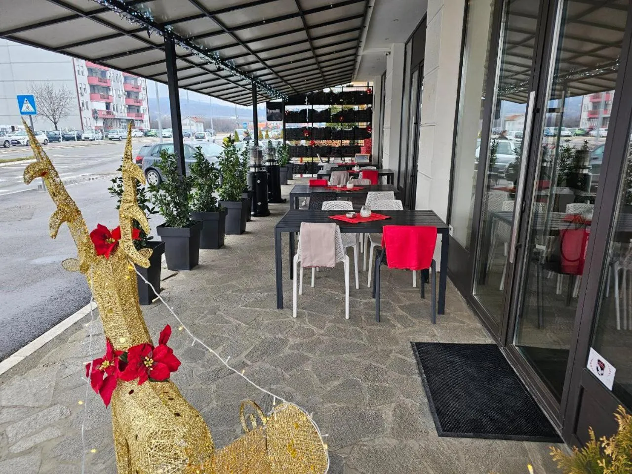 Garden in Hotel Aloha