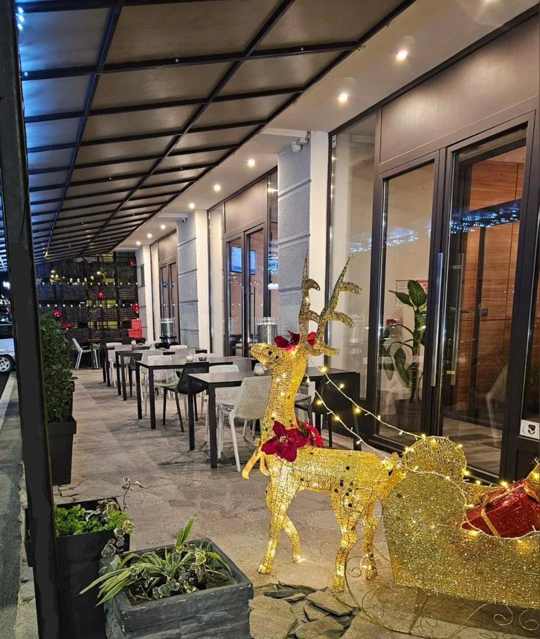 Garden in Hotel Aloha