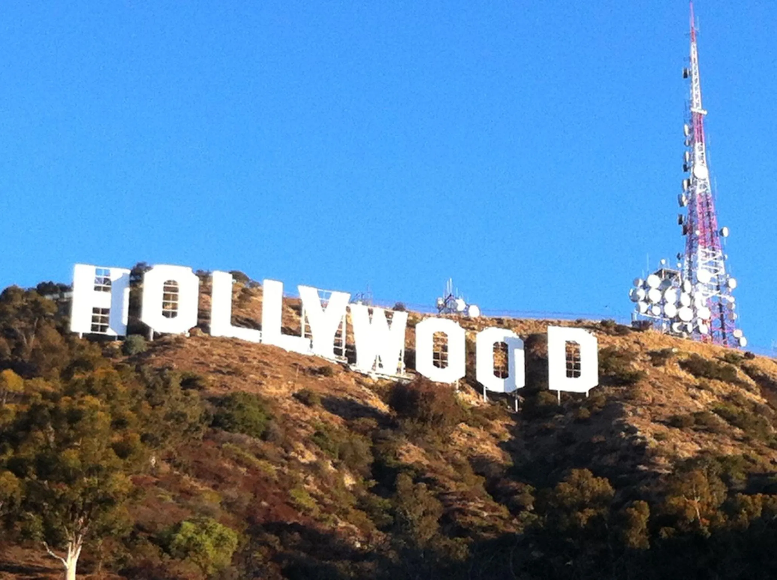 Nearby landmark in Hollywood Hotel