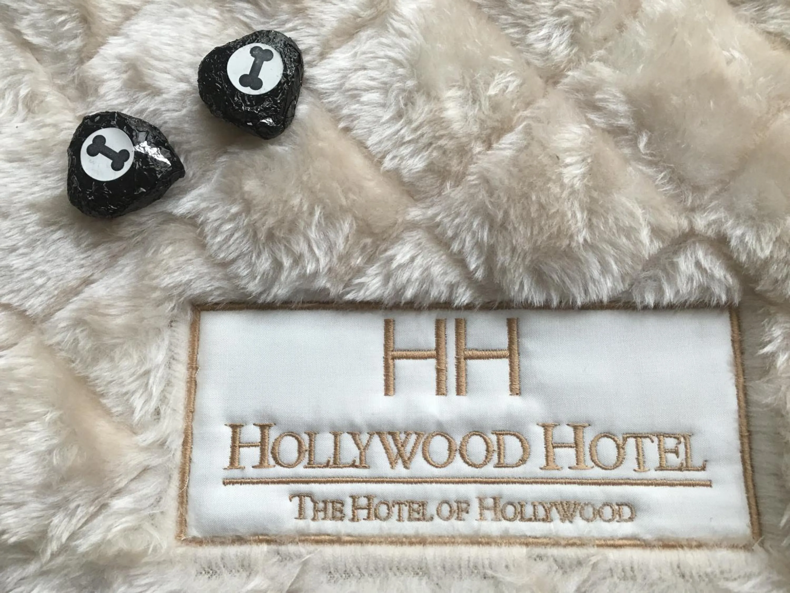 Animals in Hollywood Hotel
