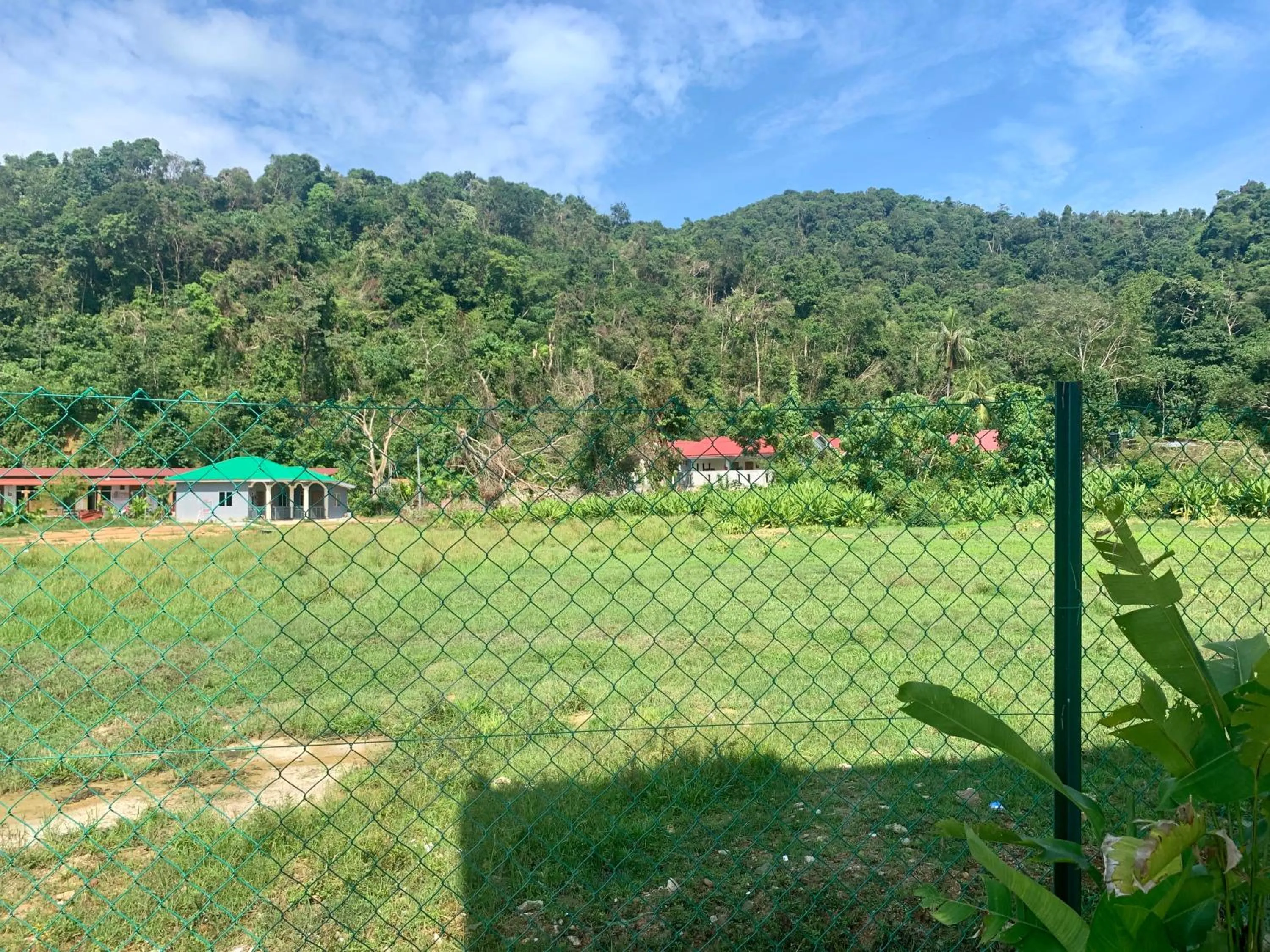 Natural landscape in The Sassy House