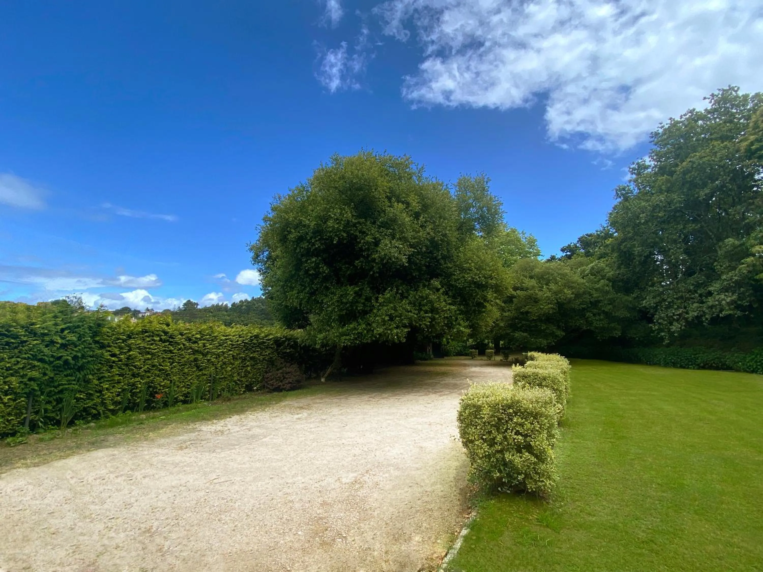 Garden in Hotel EntreRobles