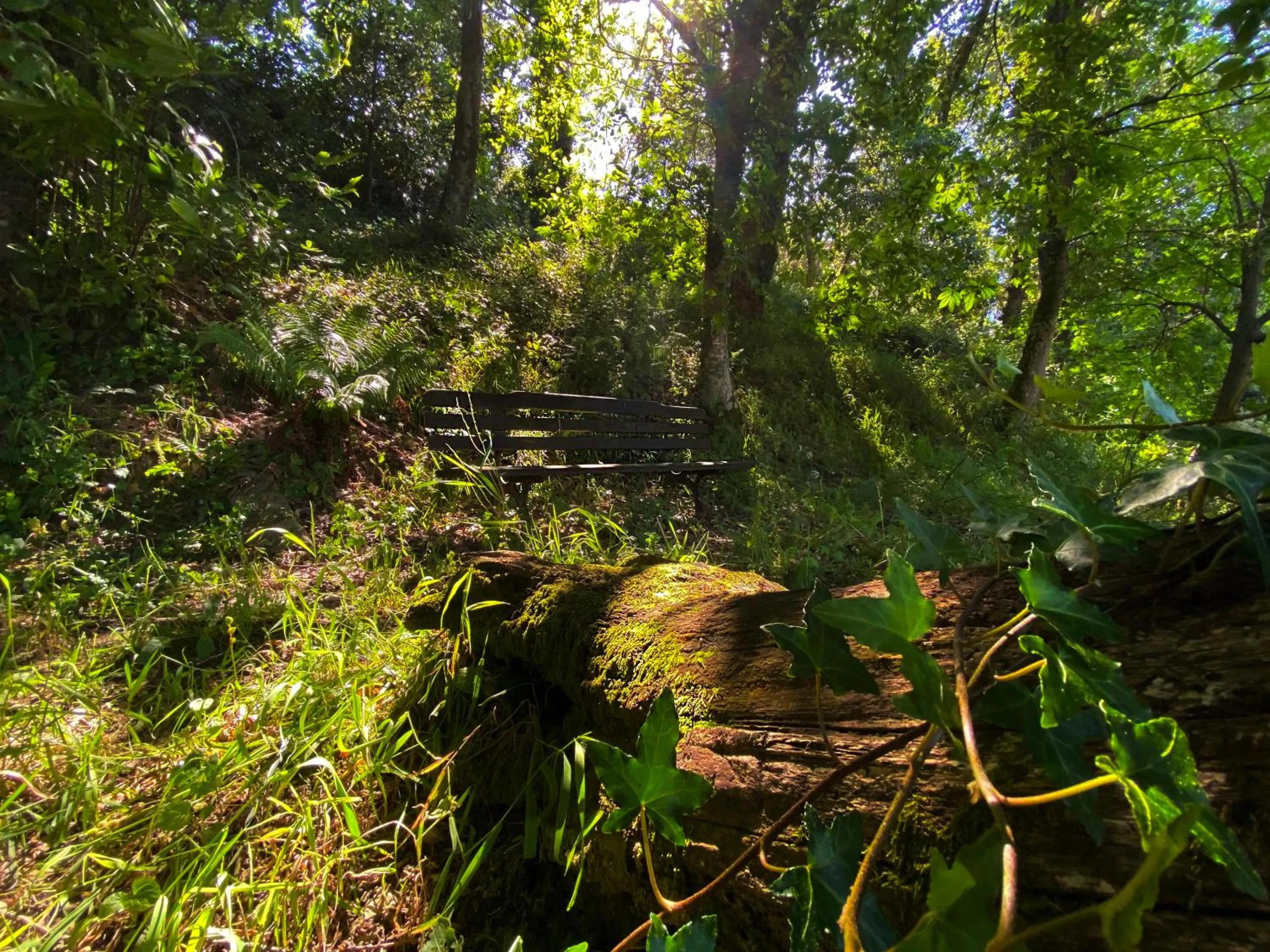 Natural landscape in Hotel EntreRobles