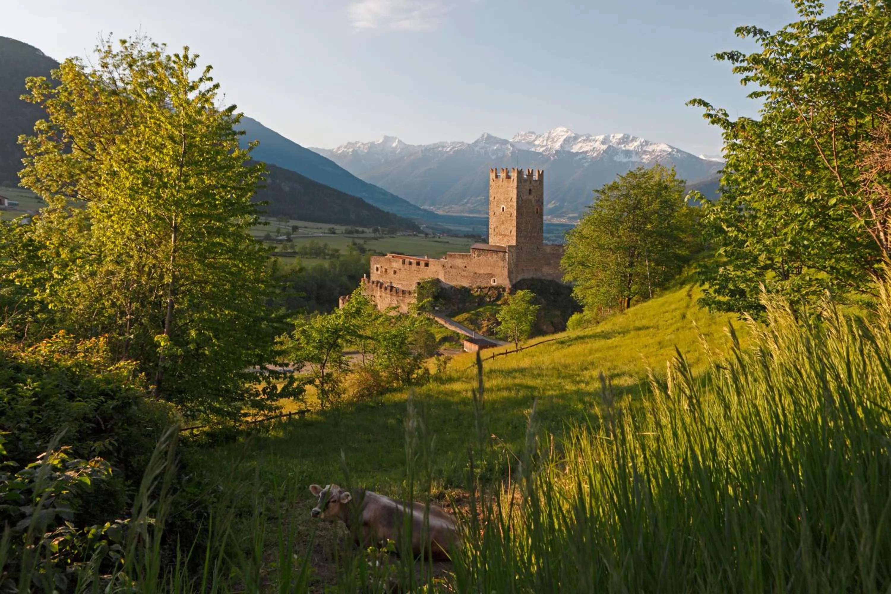 Area and facilities in Pension & Residence Astoria