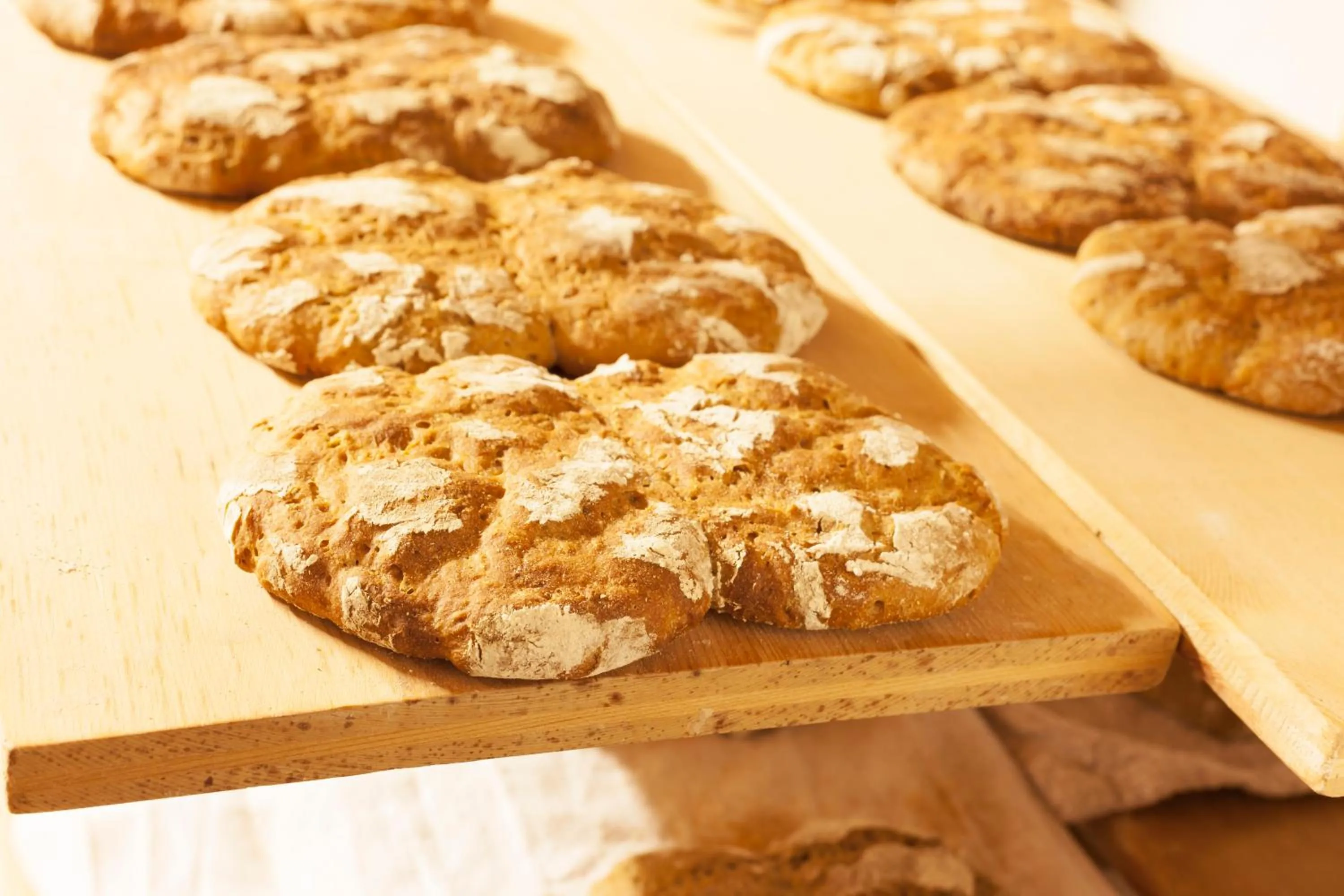 Food and drinks in Pension & Residence Astoria