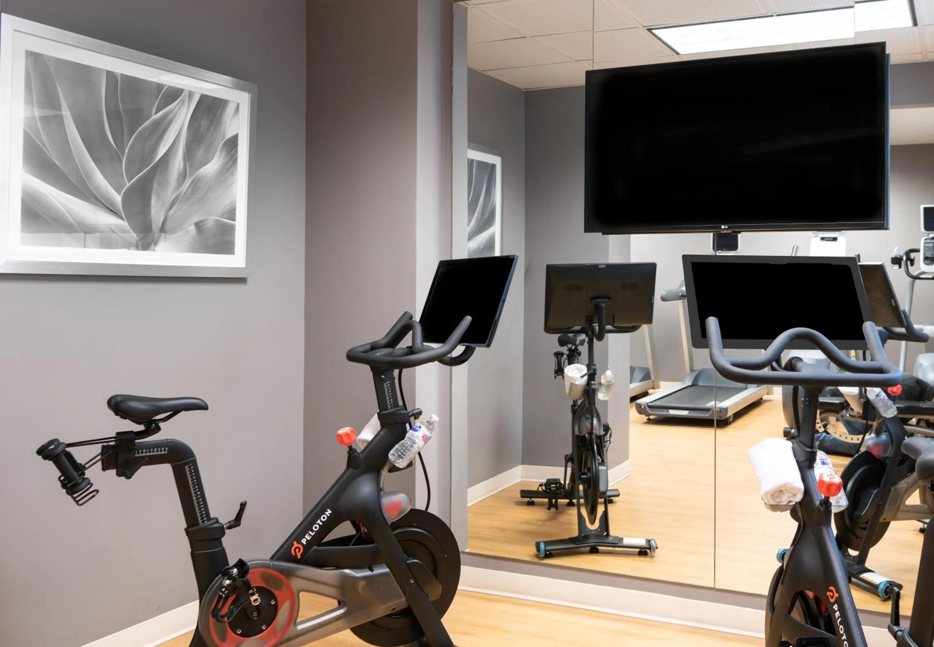 Fitness centre/facilities in The Churchill Hotel Near Embassy Row