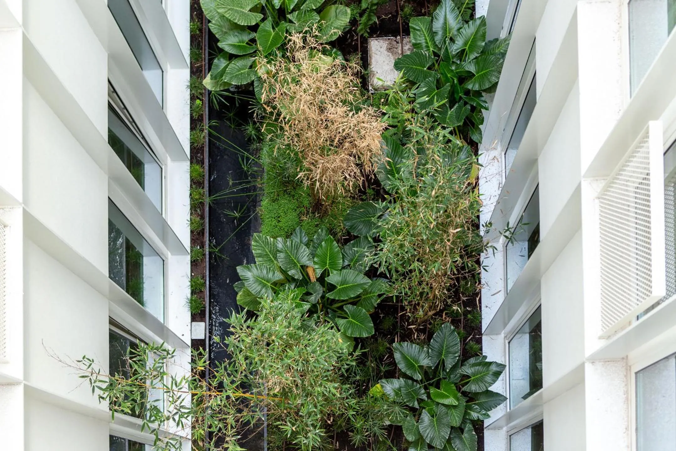 WHome | Ribeira 11 Design Apartment