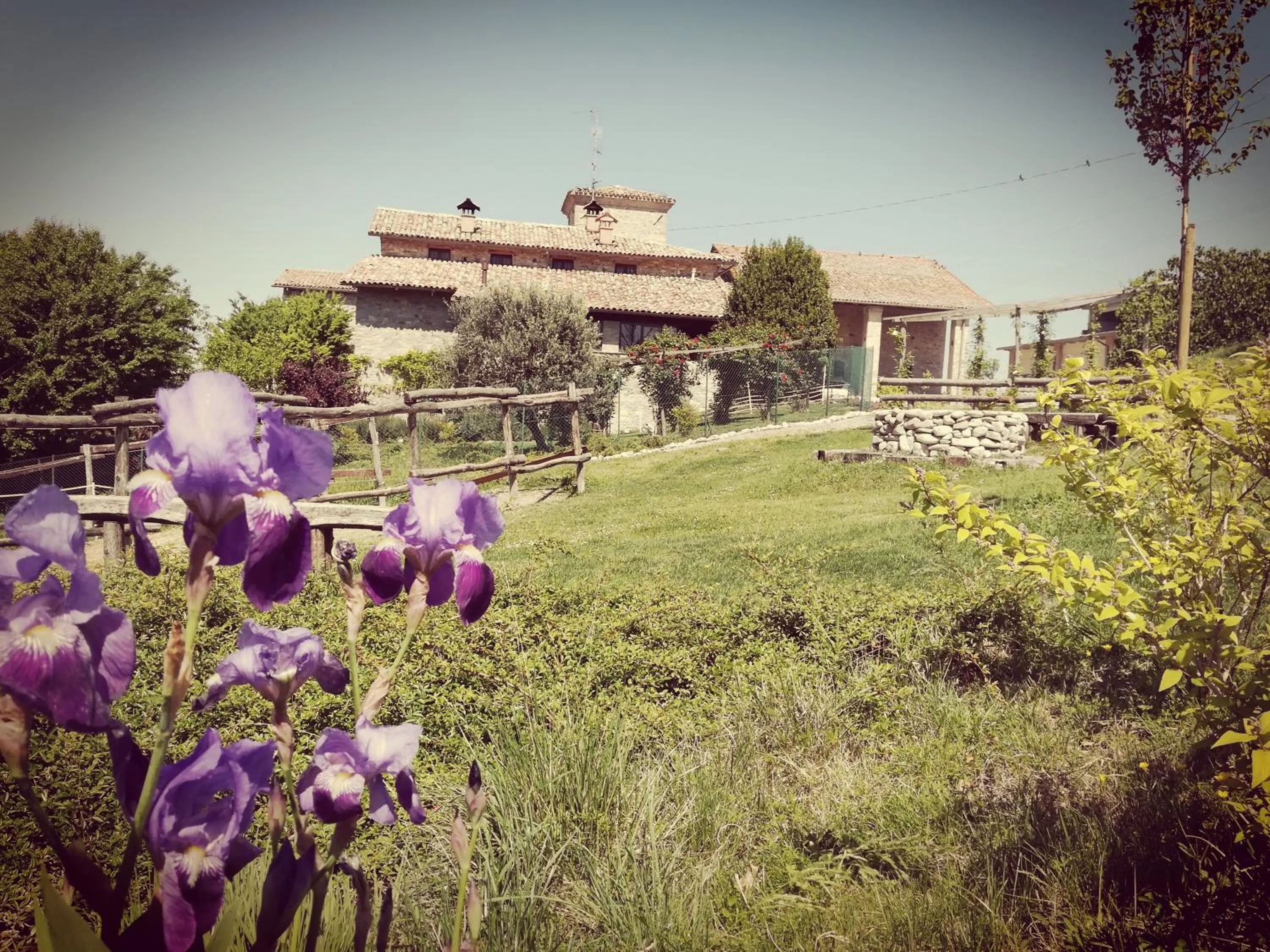 tenuta i musi lunghi