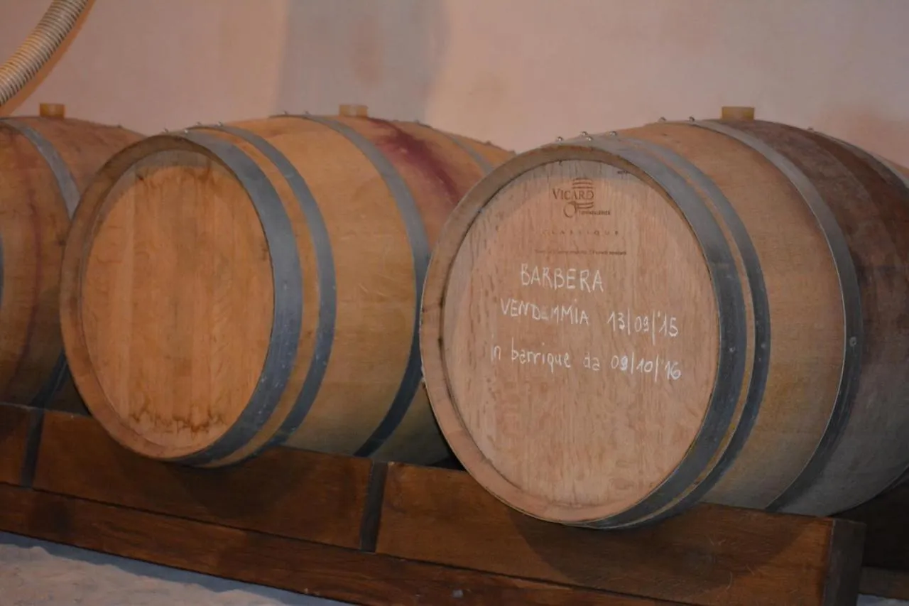 tenuta i musi lunghi