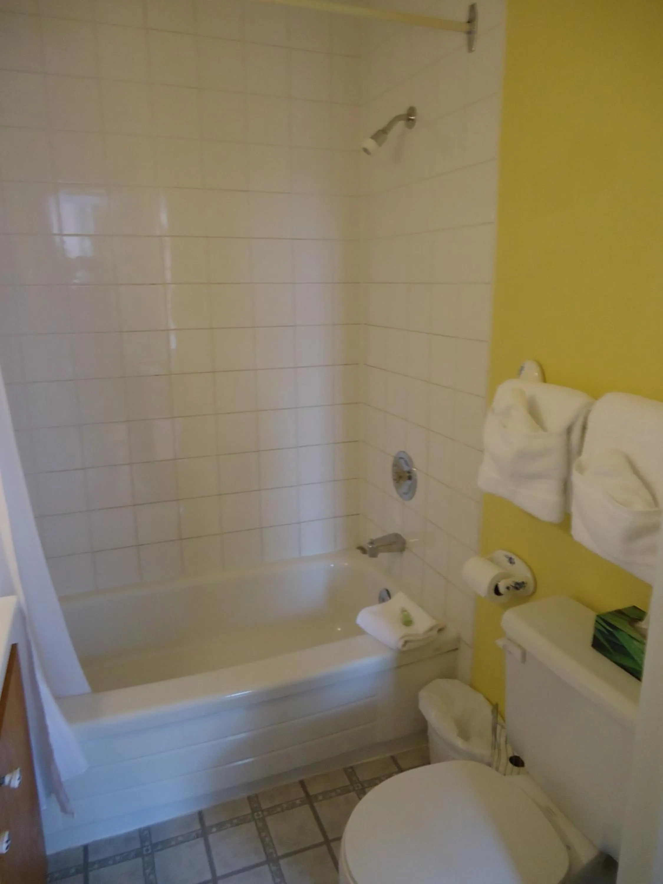 Bed in Chipman Hill Suites - Sydney Street