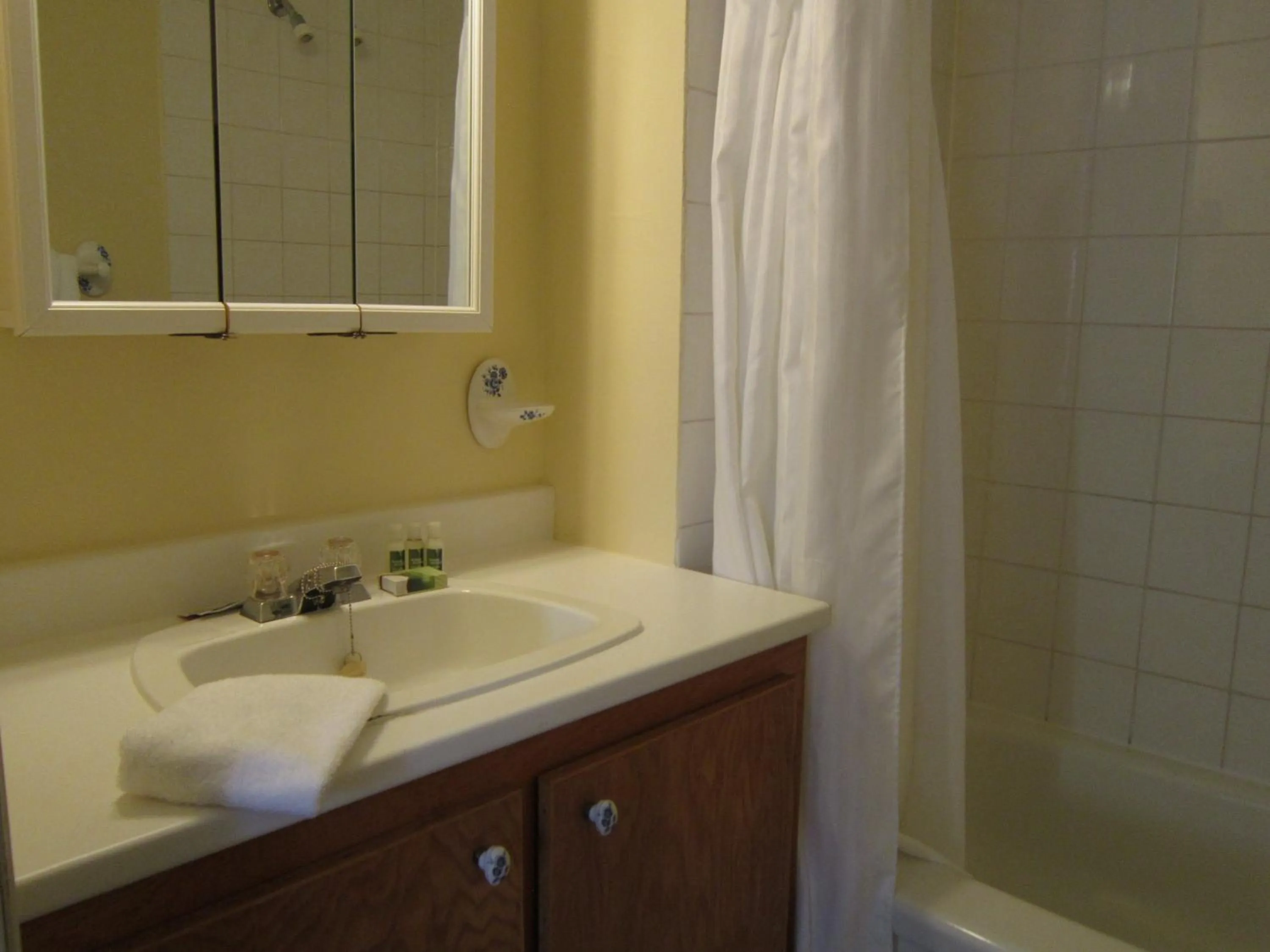 Bathroom in Chipman Hill Suites - Sydney Street