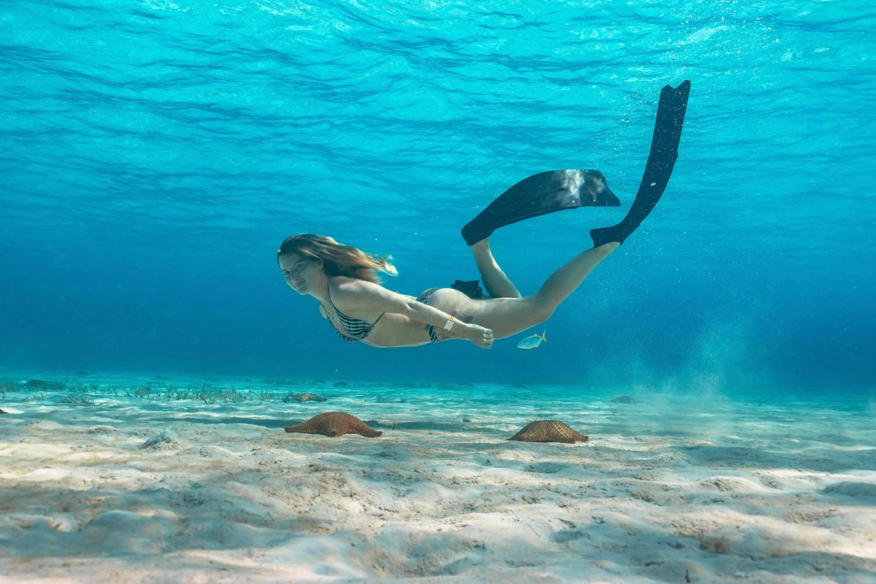 Activities in Grand Oasis Tulum Riviera - All Inclusive