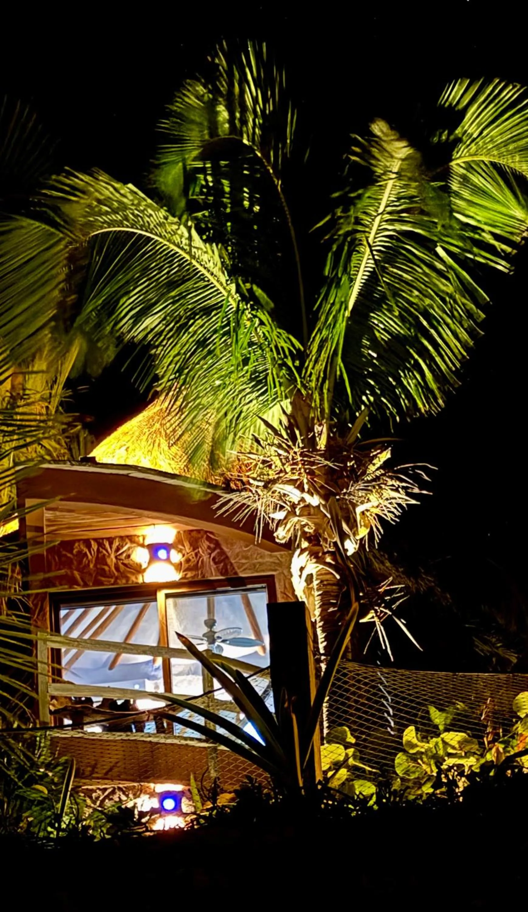 Natural landscape in Sueños Tulum