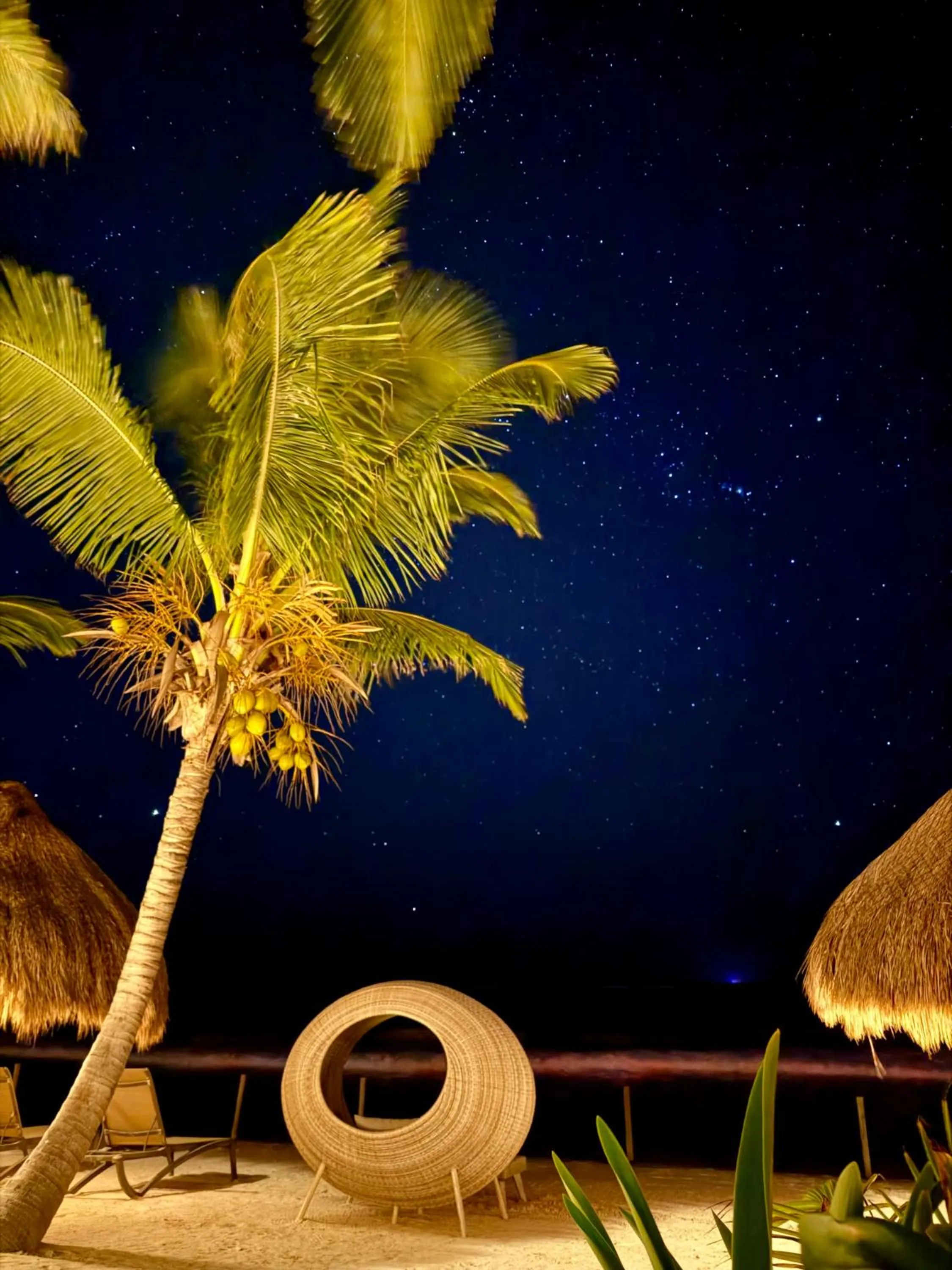 Beach in Sueños Tulum