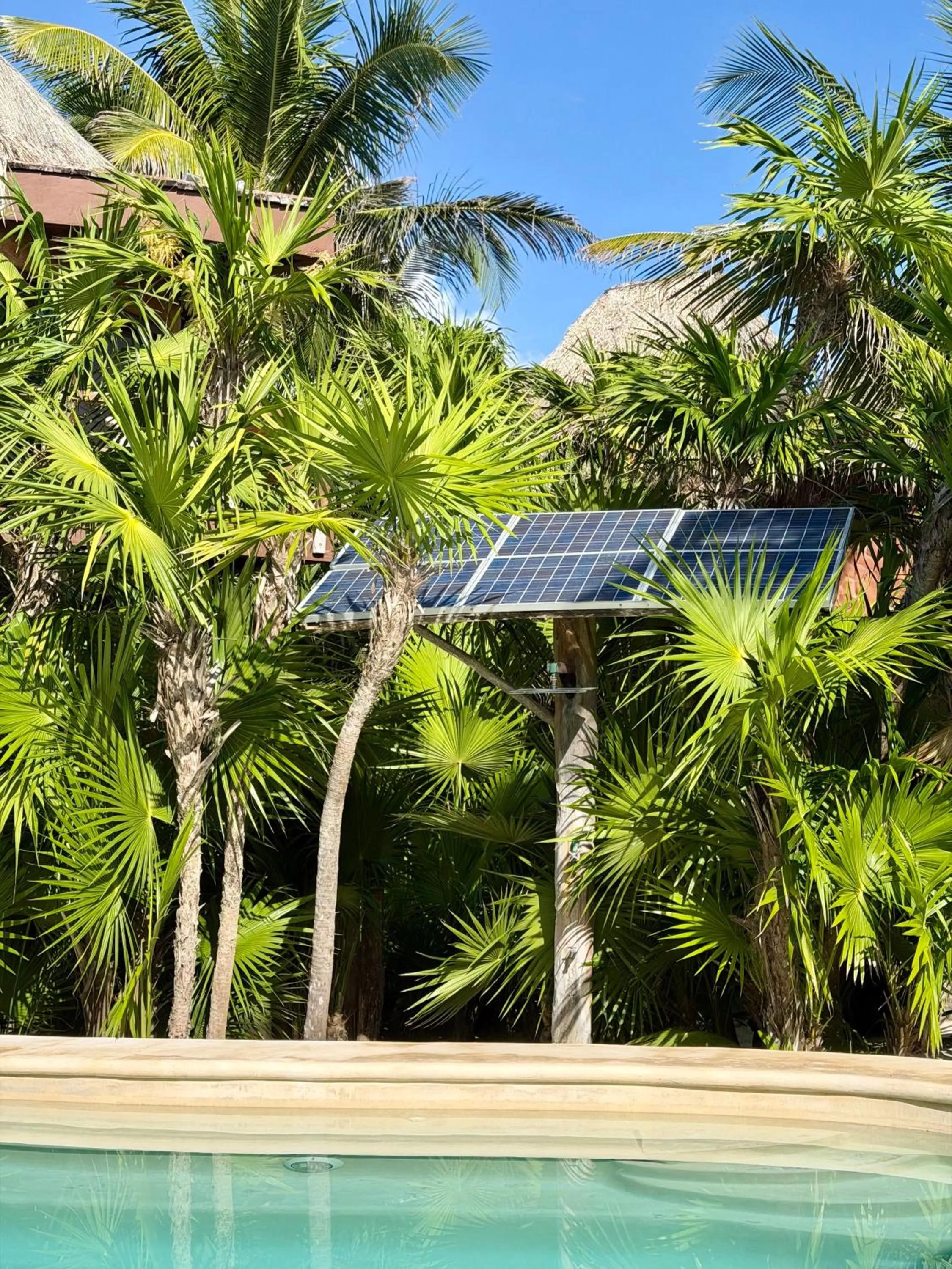 Swimming pool in Sueños Tulum