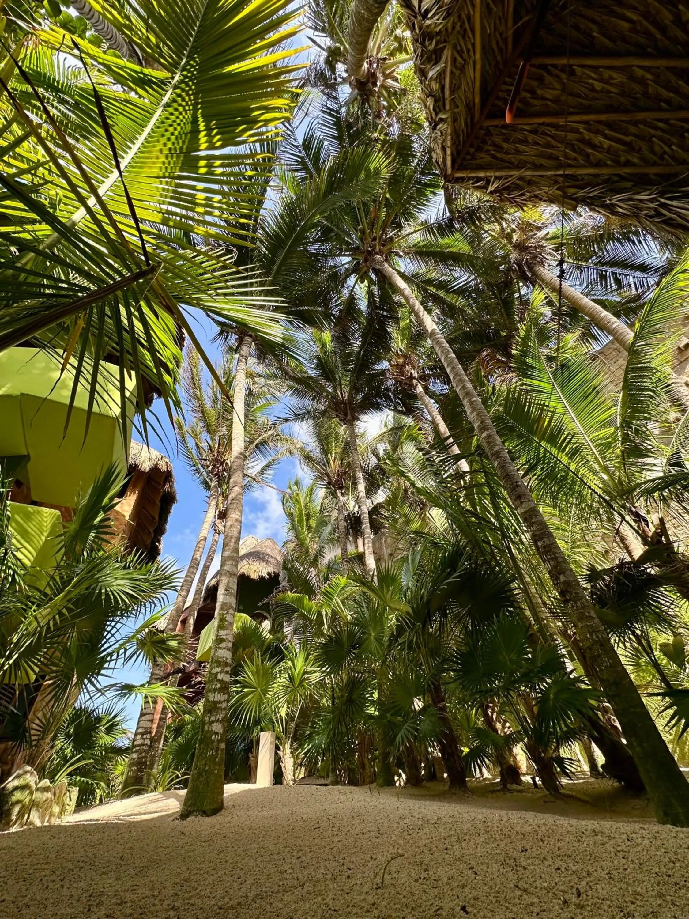 Property building in Sueños Tulum