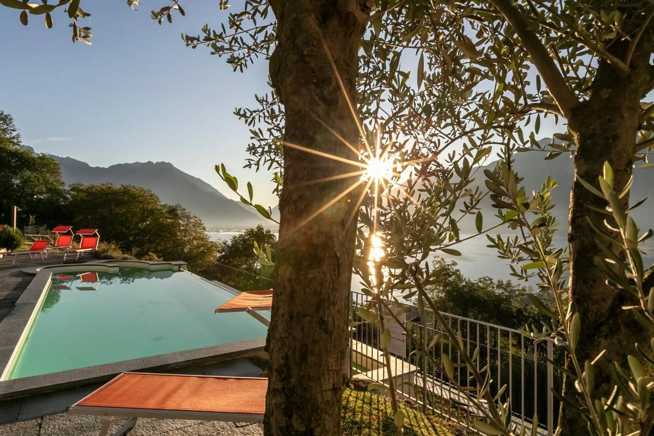 Garden view in La Collinetta Apartments