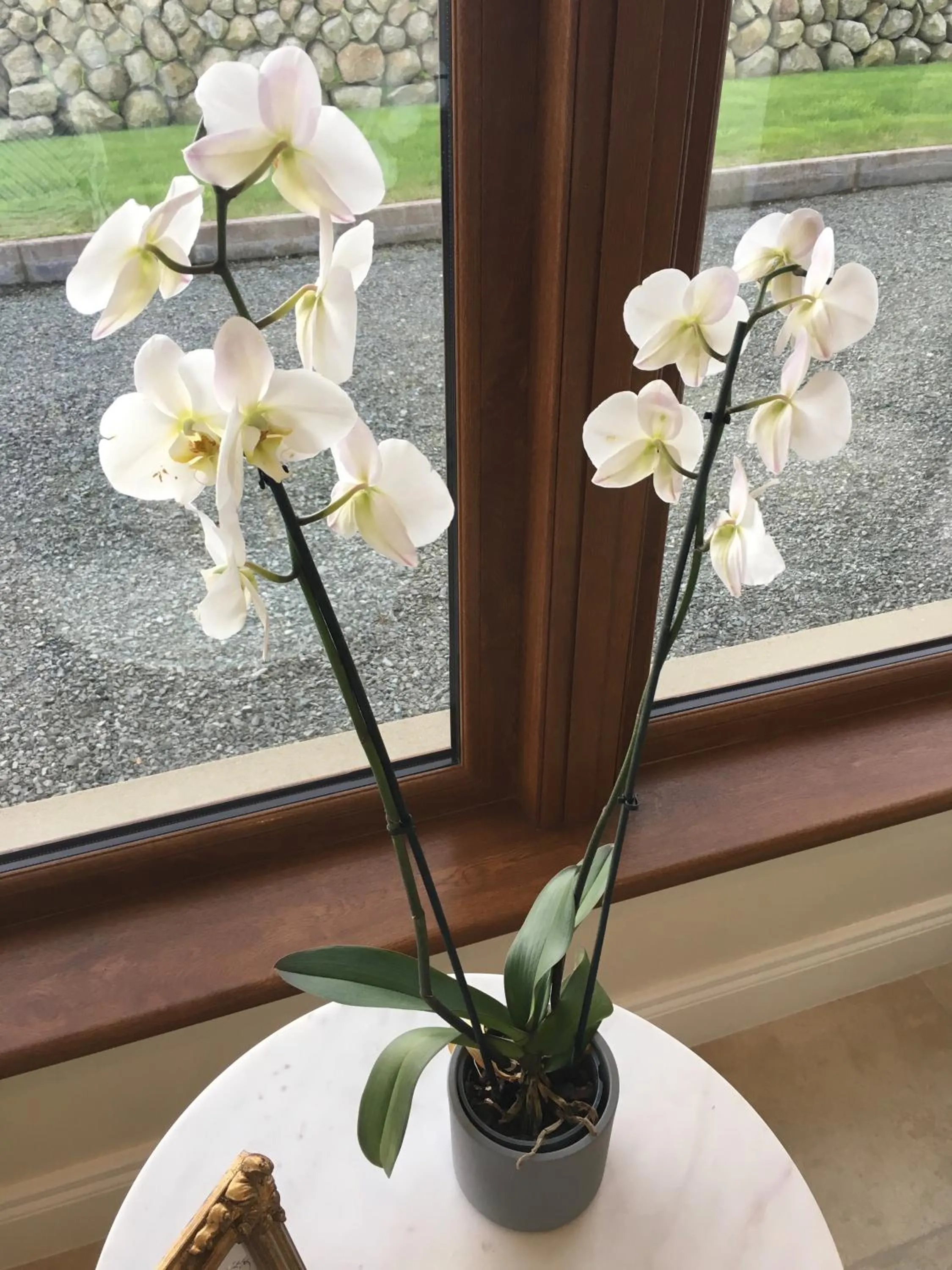 Other in Mourne Country House Bed and Breakfast