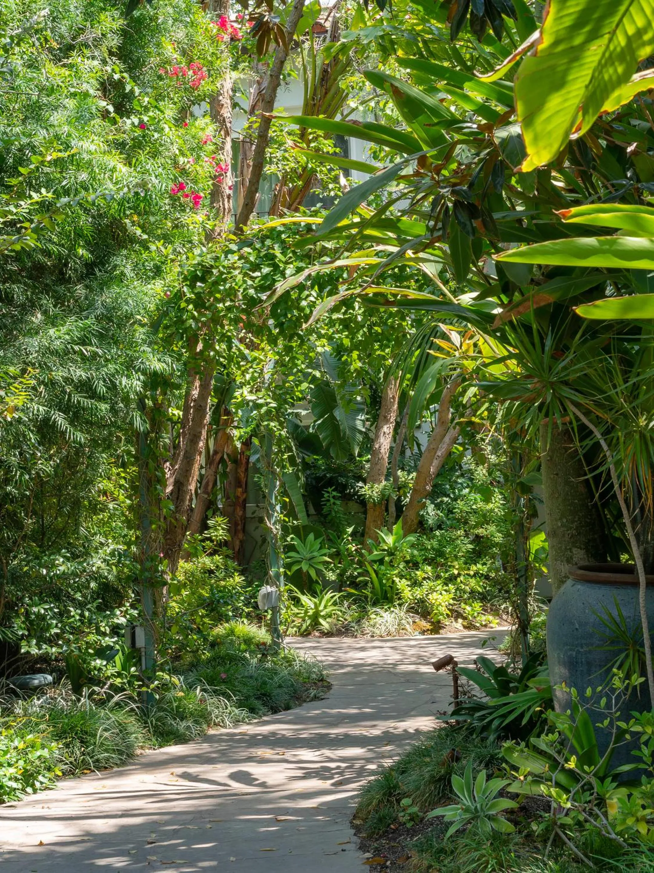 Garden in Sunset Marquis Hotel