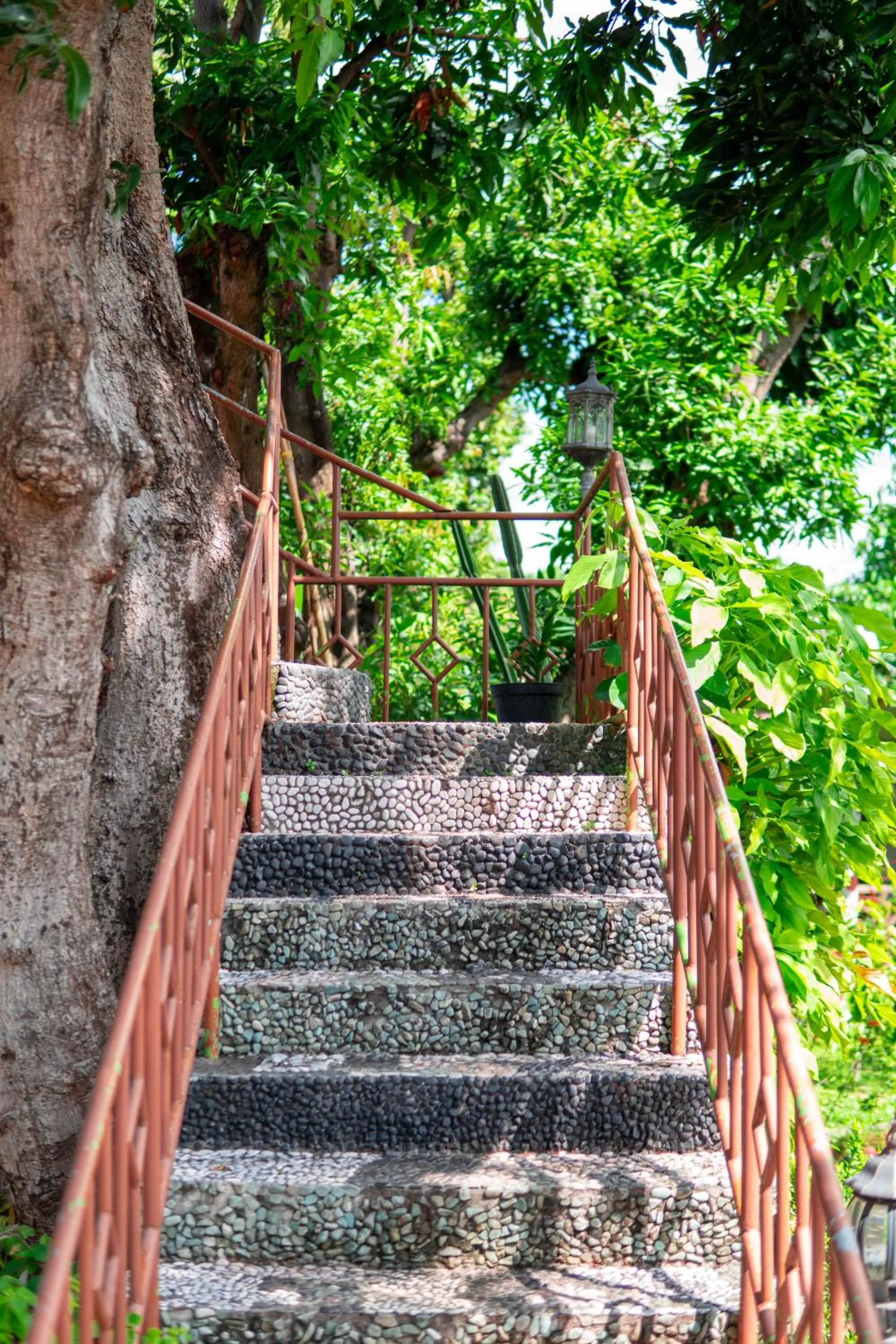 View (from property/room) in Deutsches-Eck Rikesti