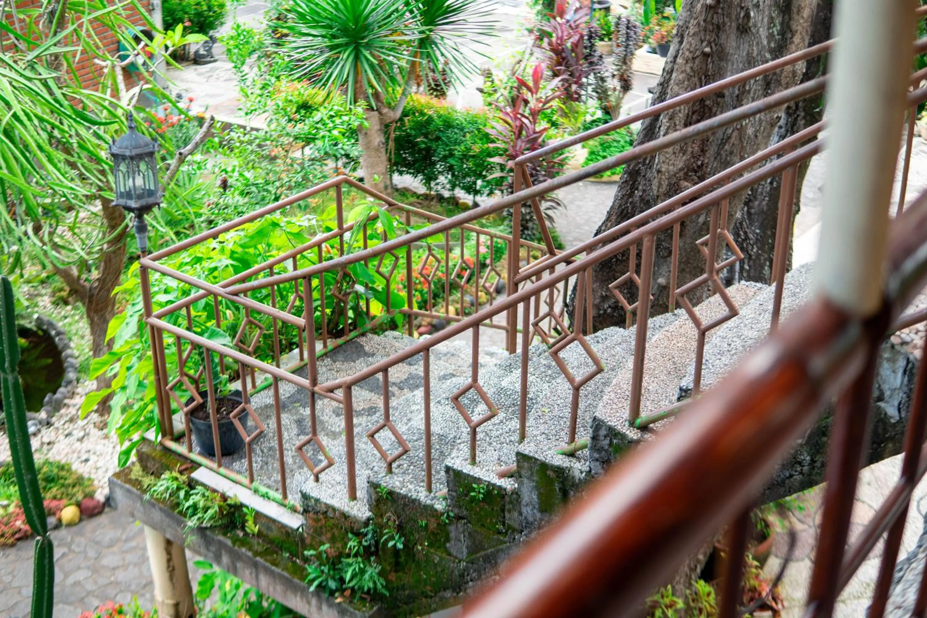 View (from property/room) in Deutsches-Eck Rikesti