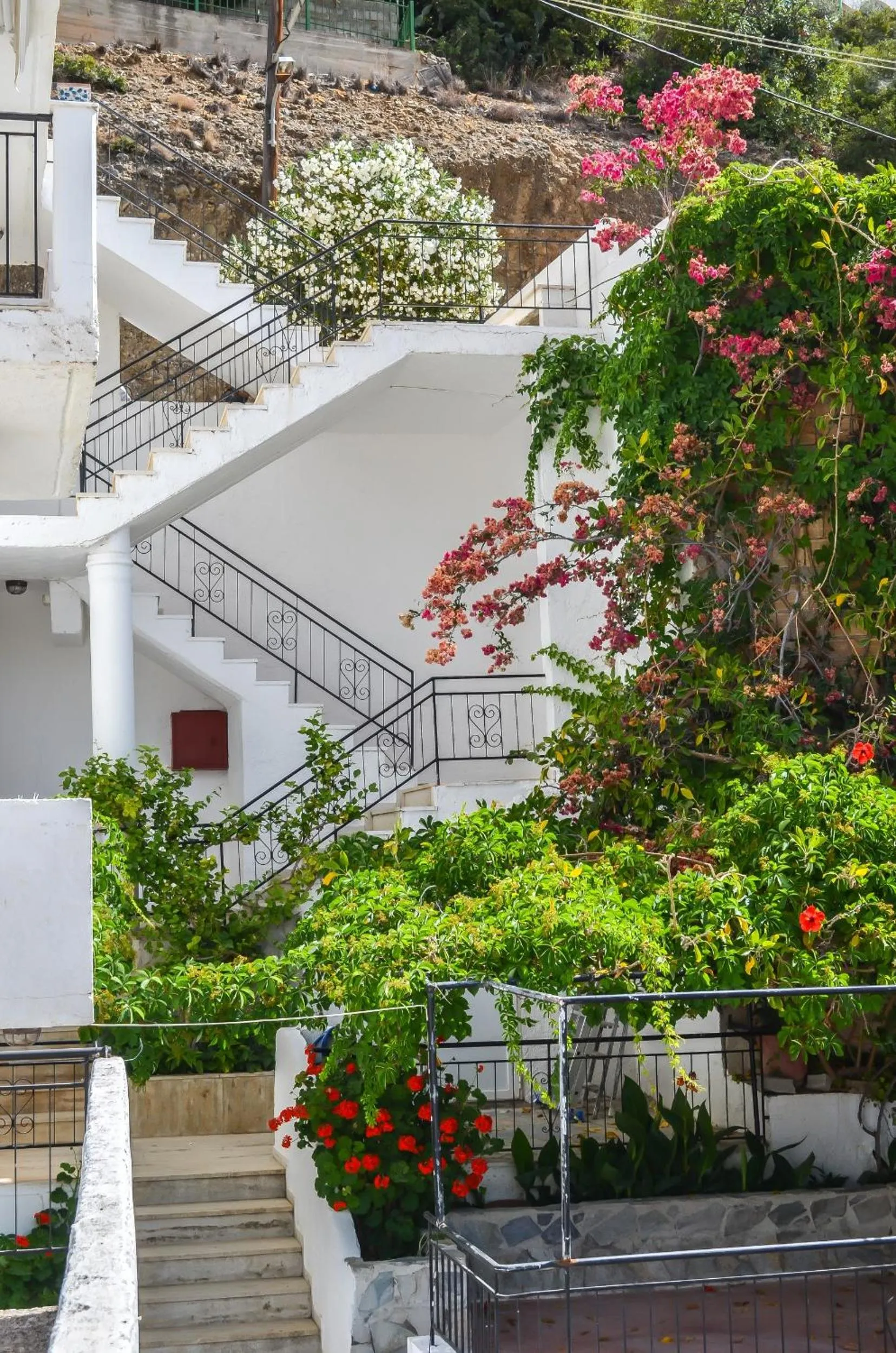 Property building in Kalypso