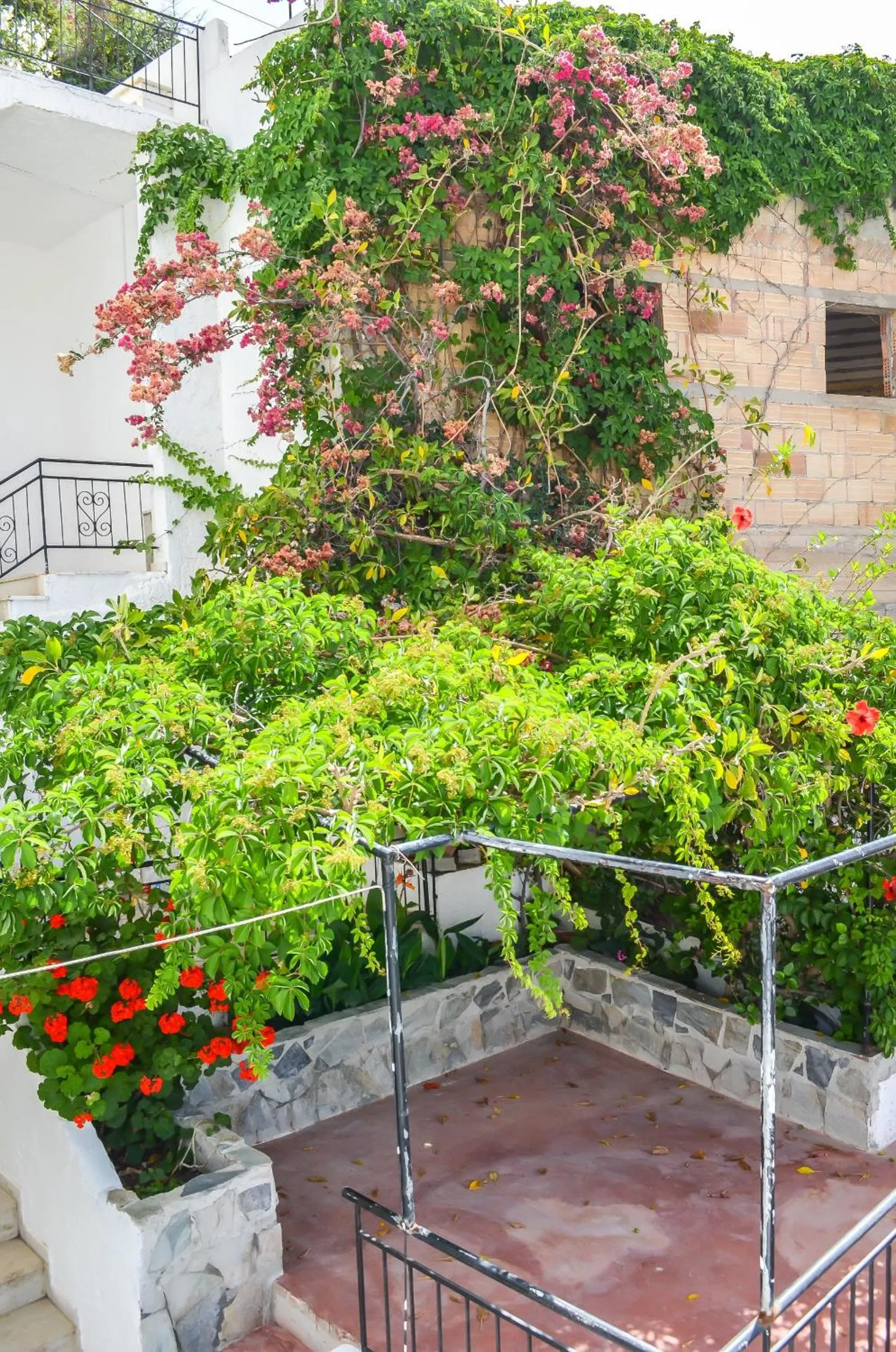 Property building in Kalypso