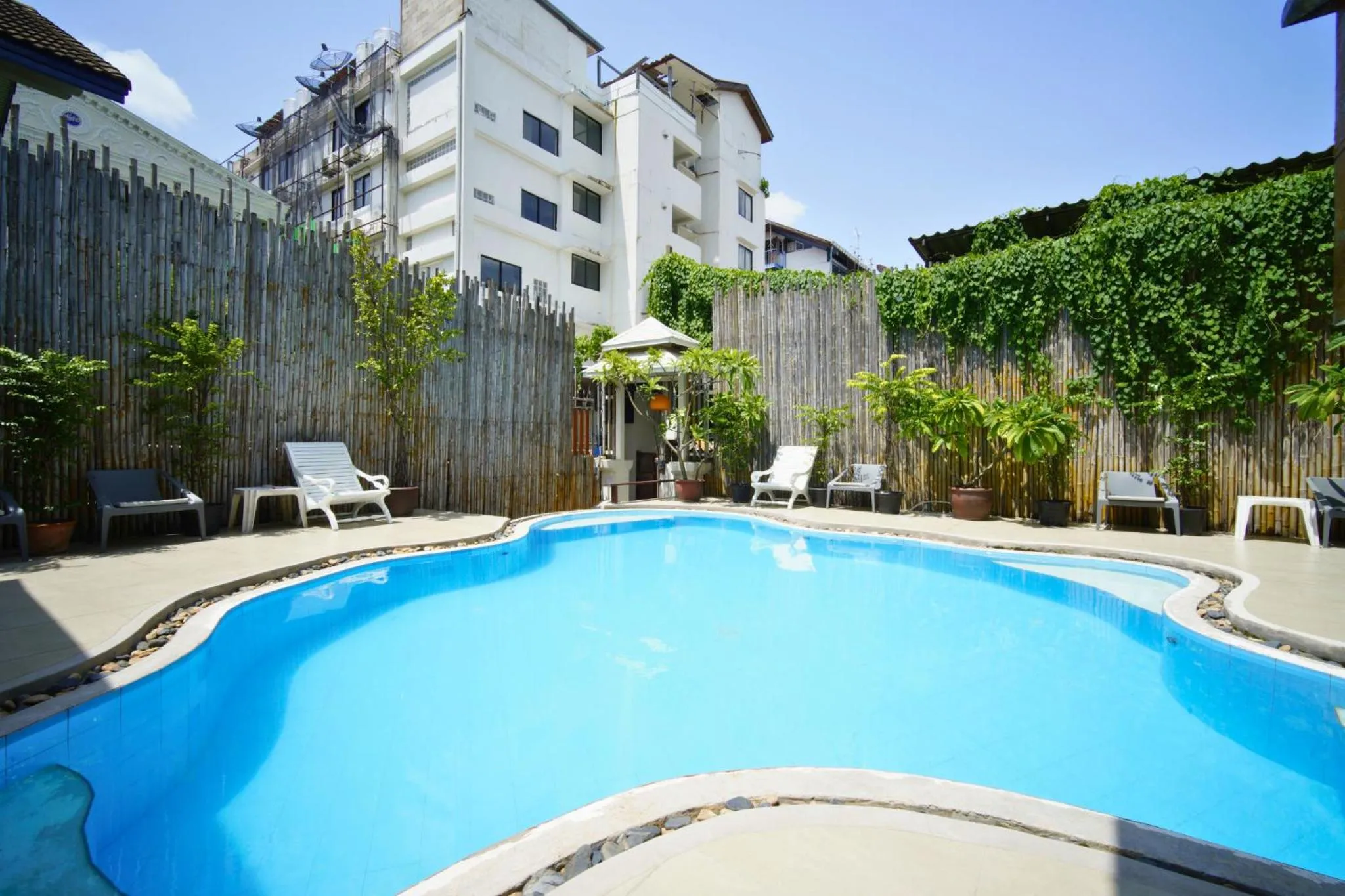 Swimming pool in Wild Orchid Villa Bangkok