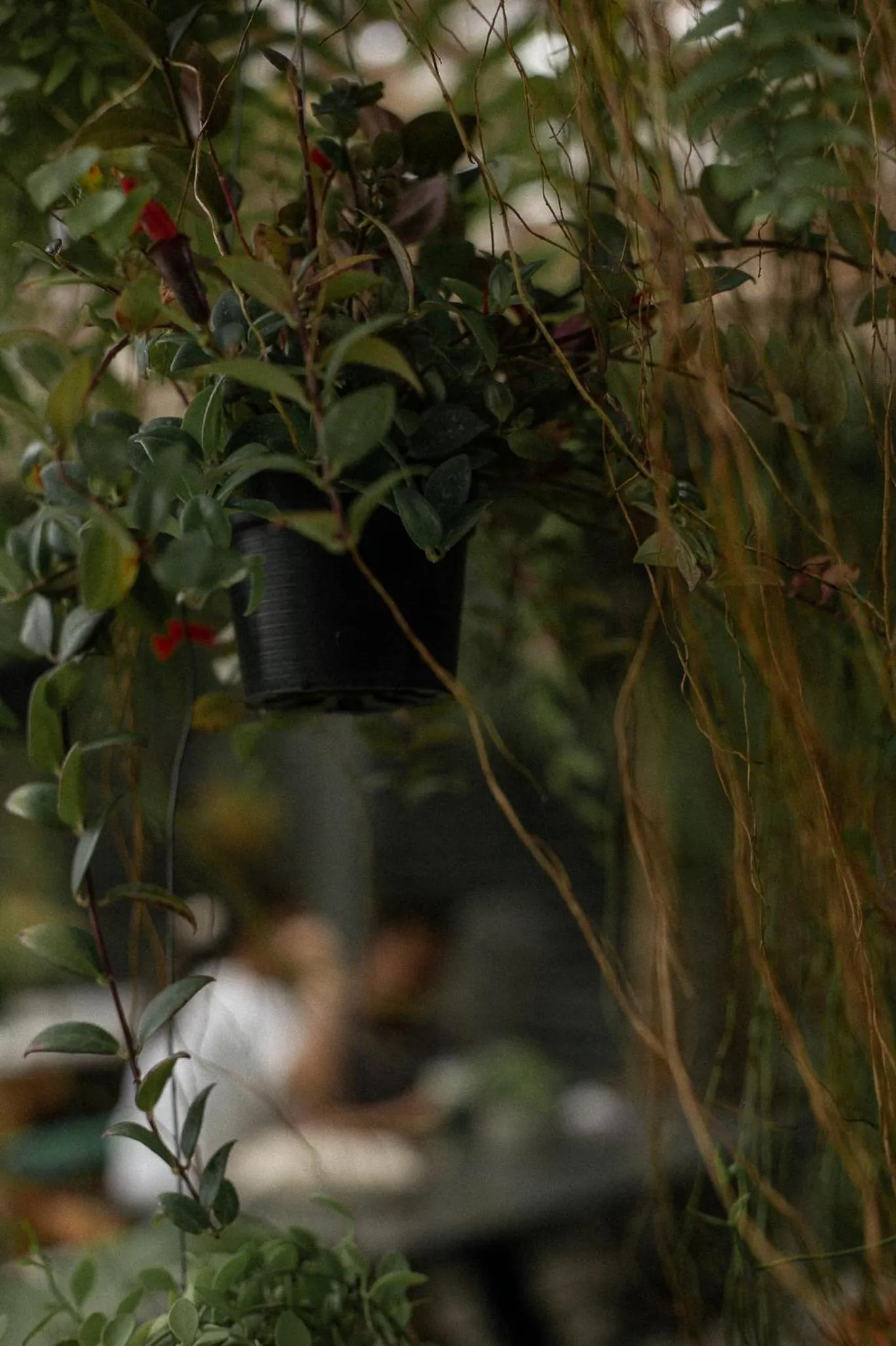 Baannokhook Home&Cafe