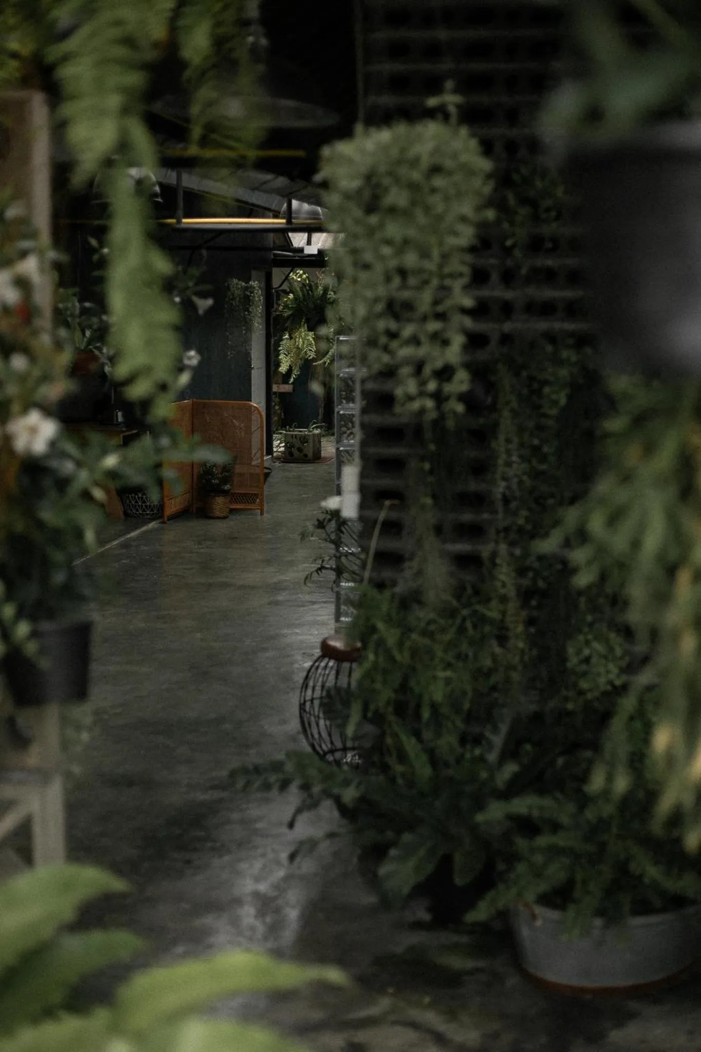 Baannokhook Home&Cafe