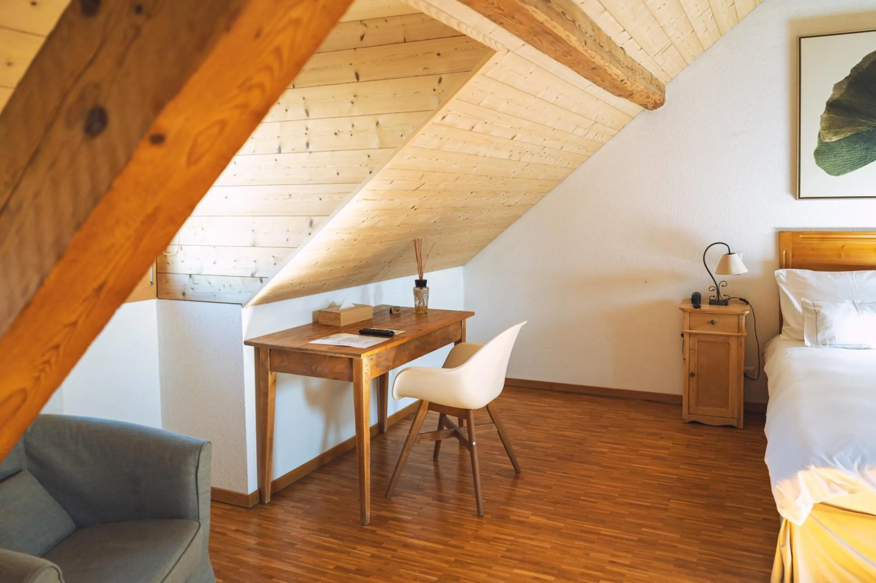 Photo of the whole room in Les Montagnards