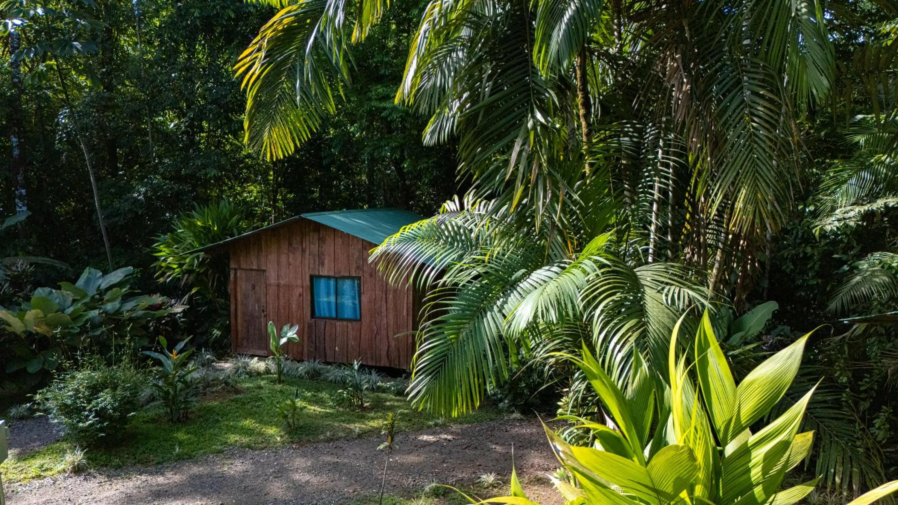 Garden view in Citronela Lodge Corcovado