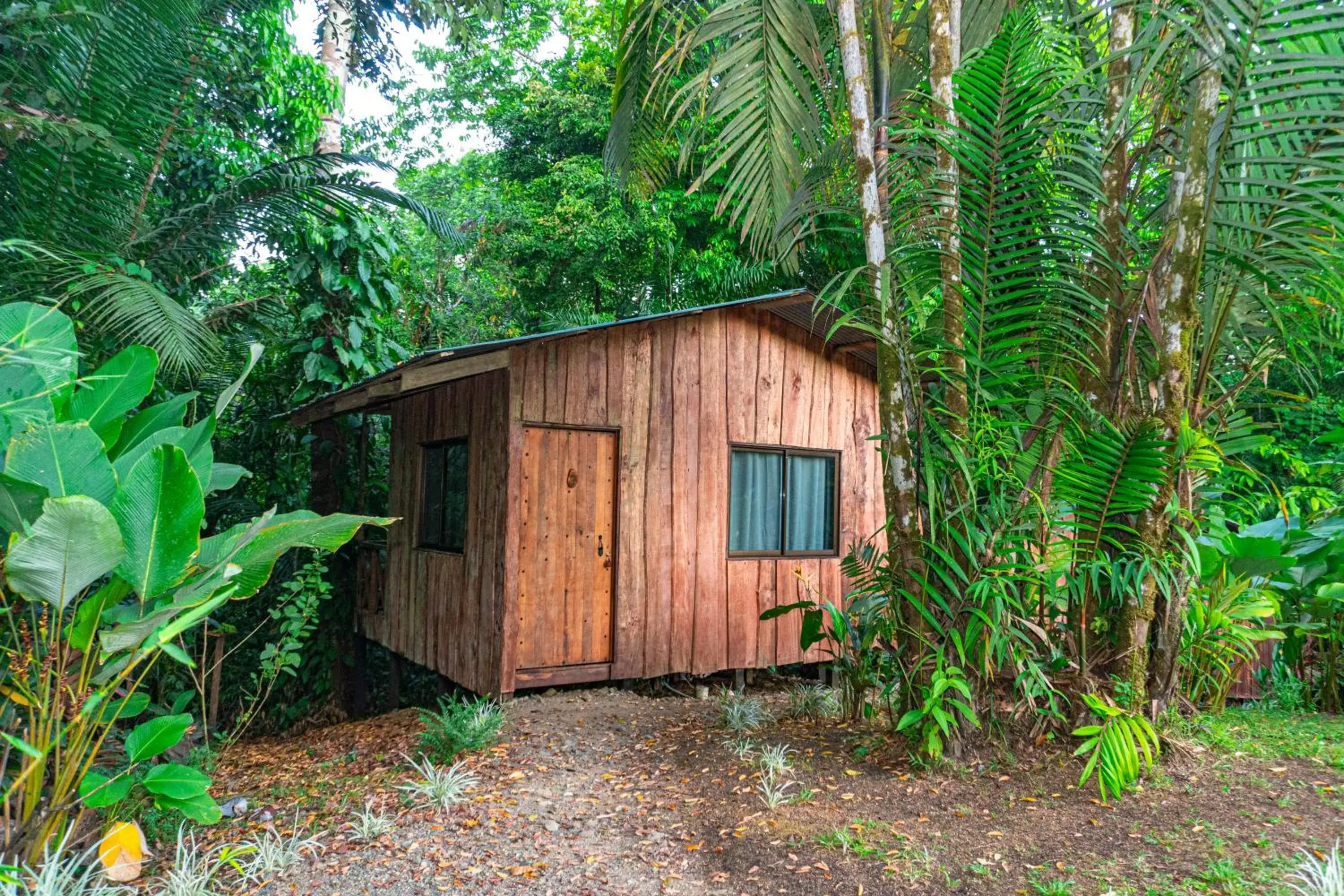 Double Room with Balcony in Citronela Lodge Corcovado Double Room with Balcony in Citronela Lodge Corcovado