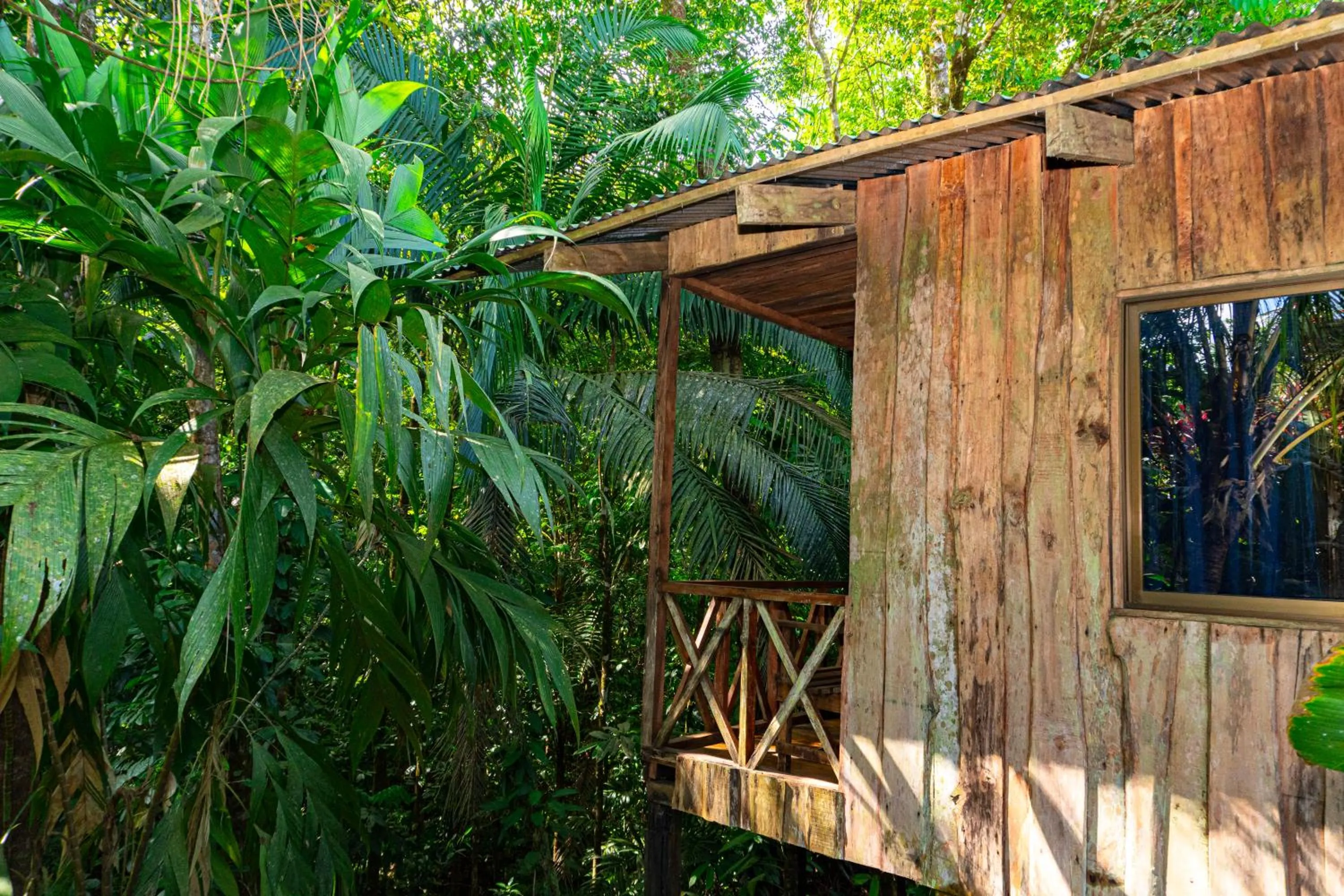 Balcony/Terrace in Citronela Lodge Corcovado
