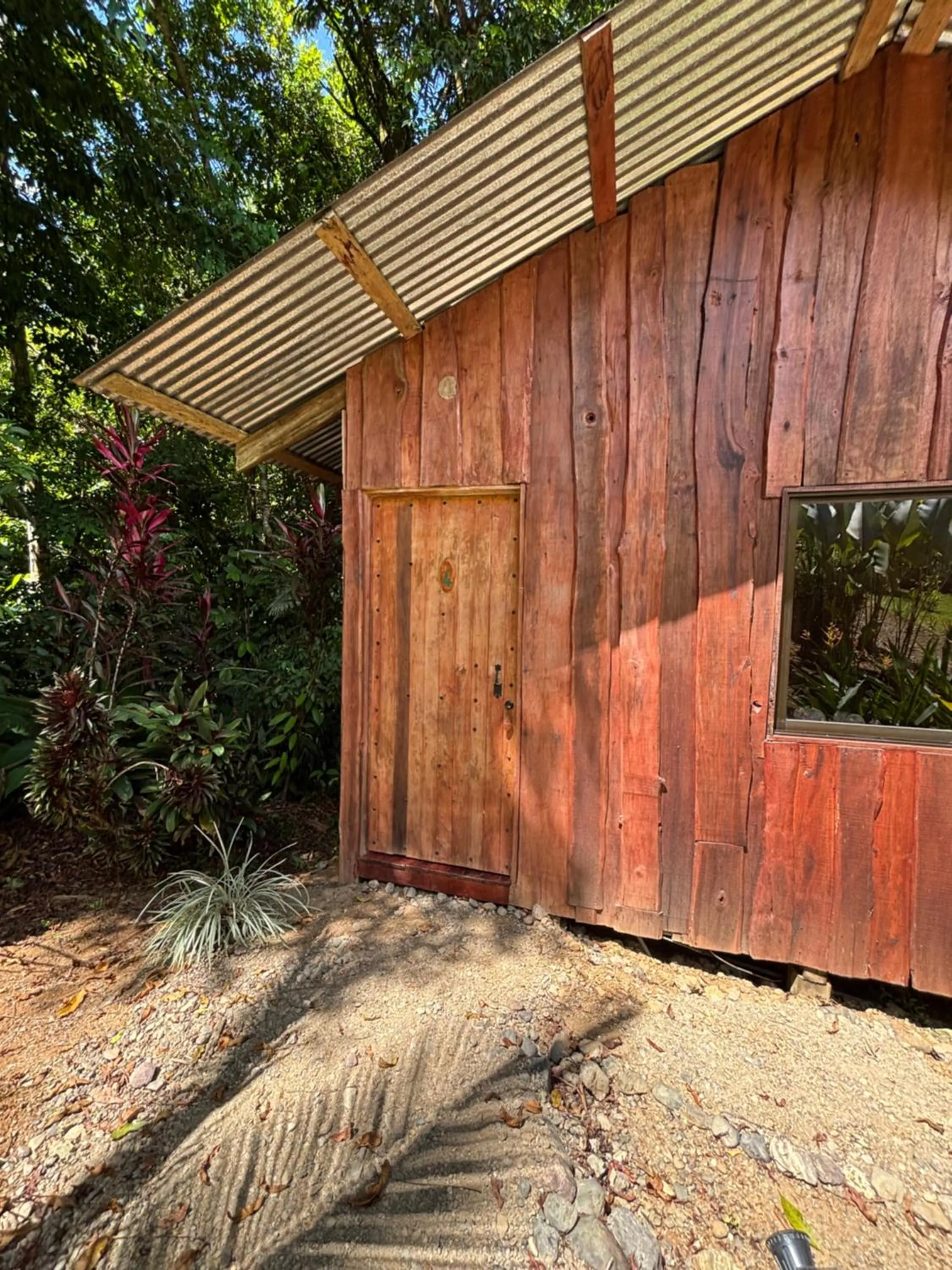 View (from property/room) in Citronela Lodge Corcovado