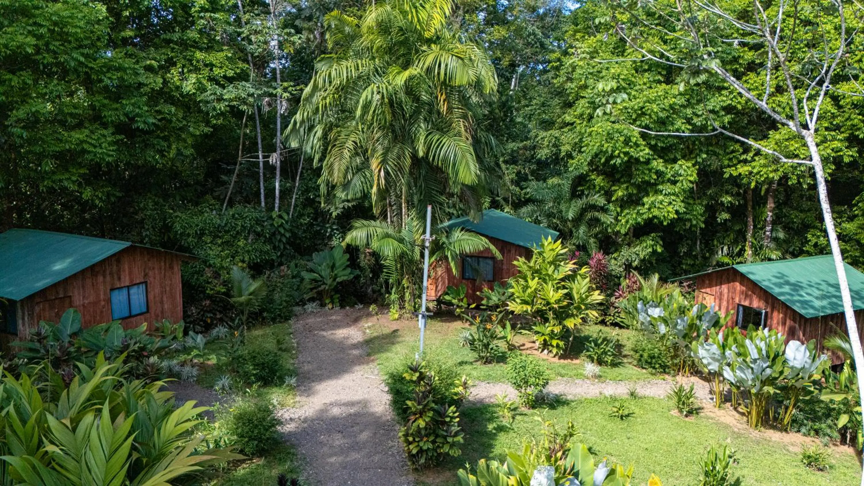 Natural landscape in Citronela Lodge Corcovado