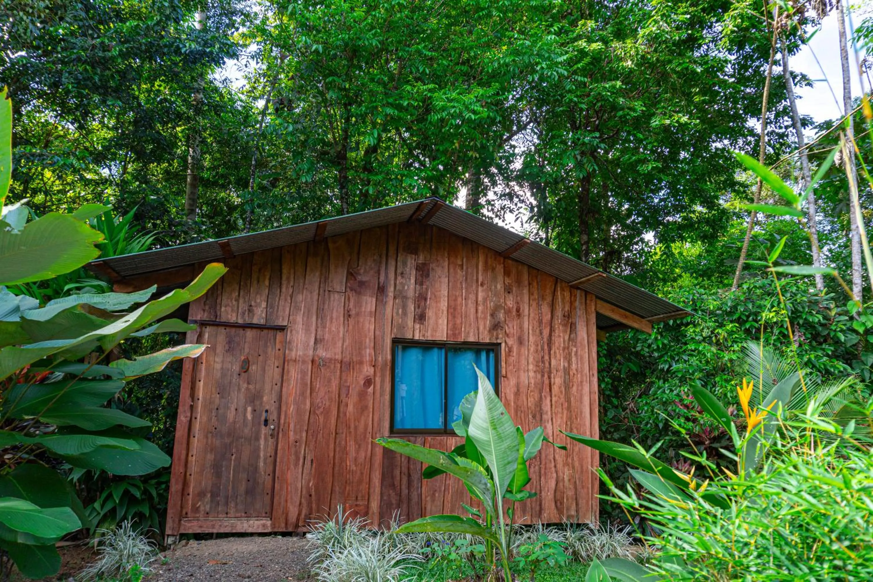 Garden in Citronela Lodge Corcovado