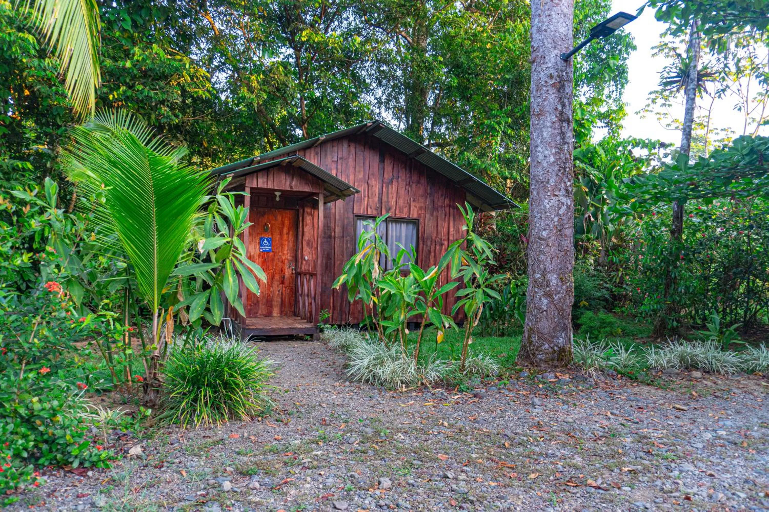 Natural landscape in Citronela Lodge Corcovado