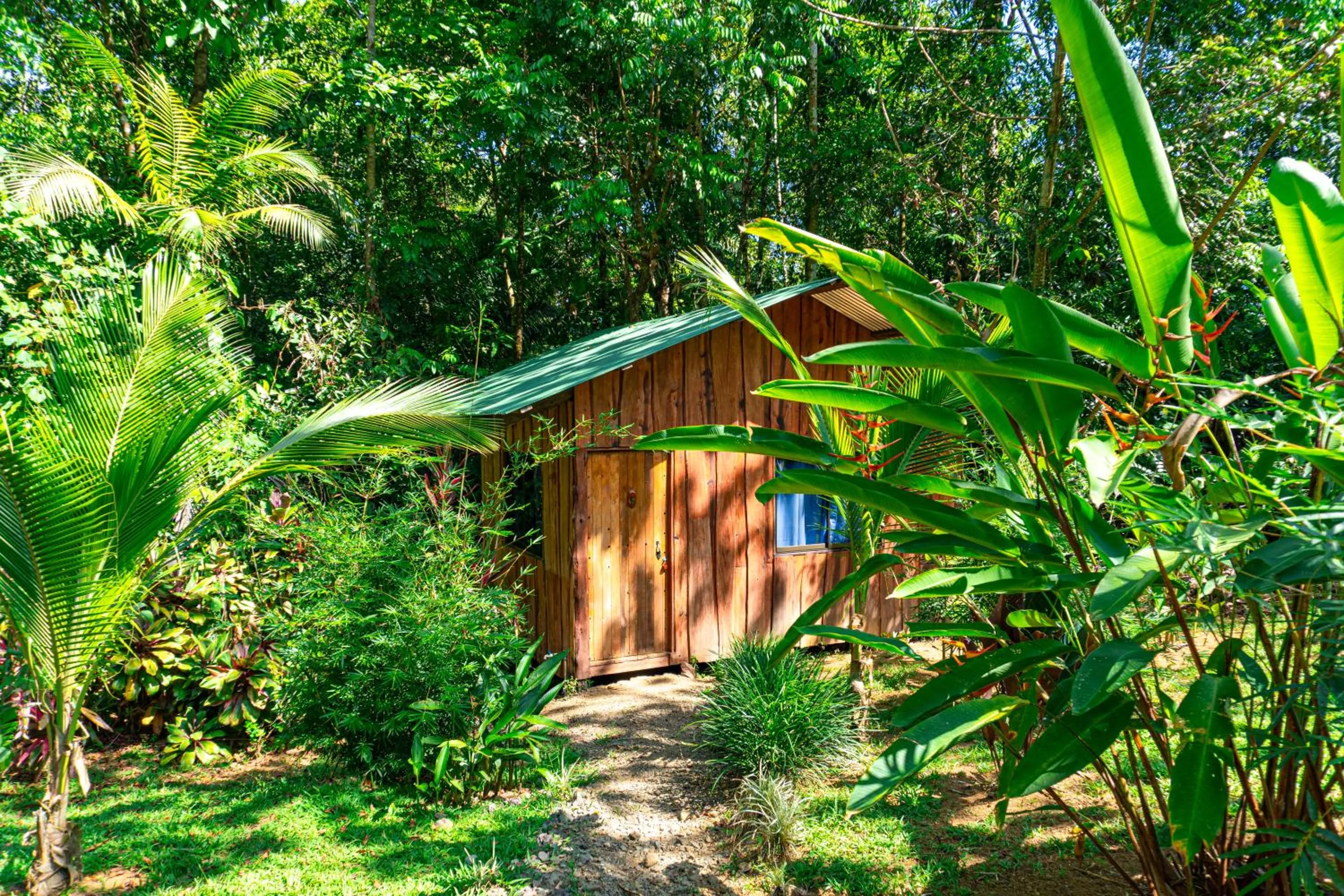 Day in Citronela Lodge Corcovado