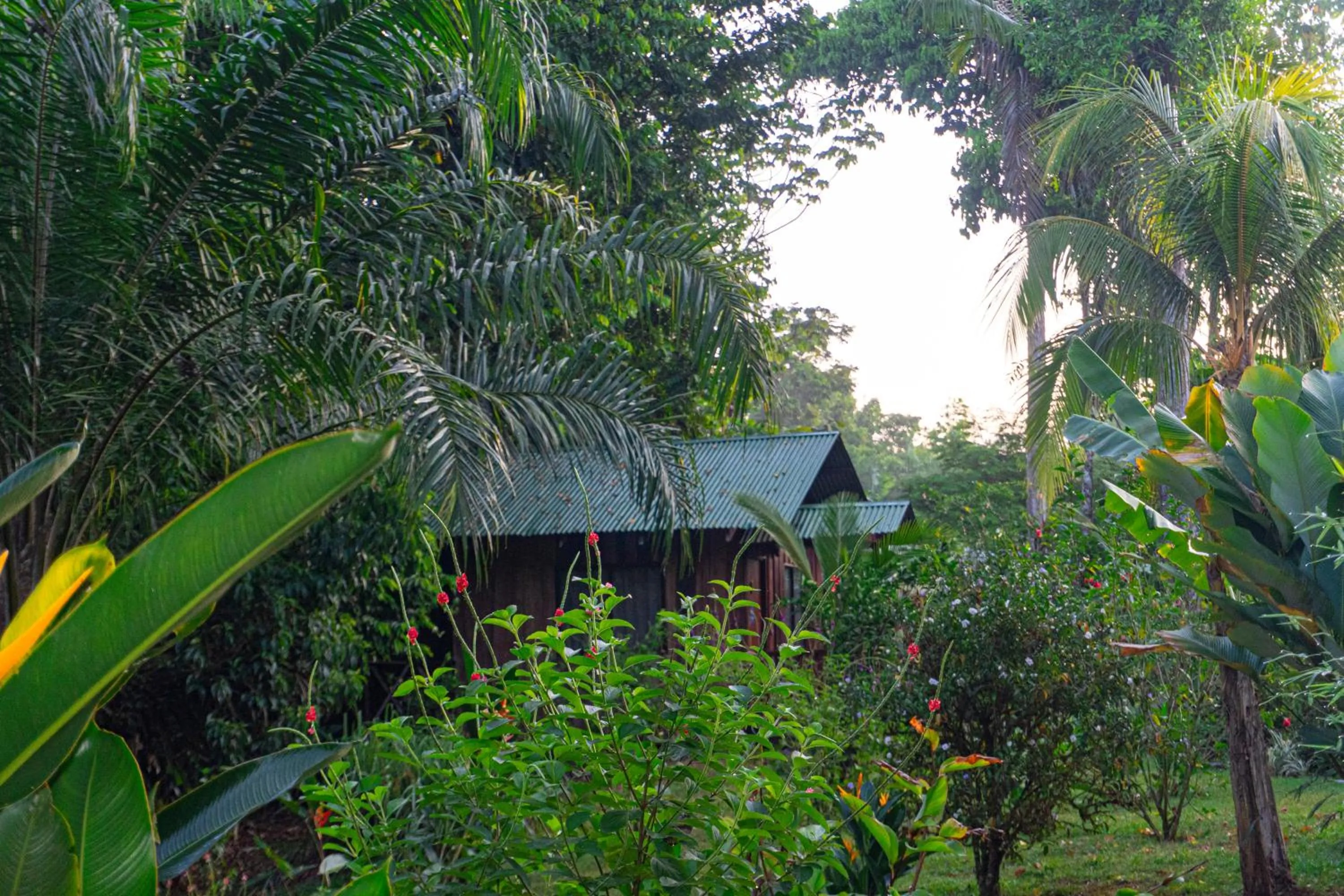 Natural landscape in Citronela Lodge Corcovado