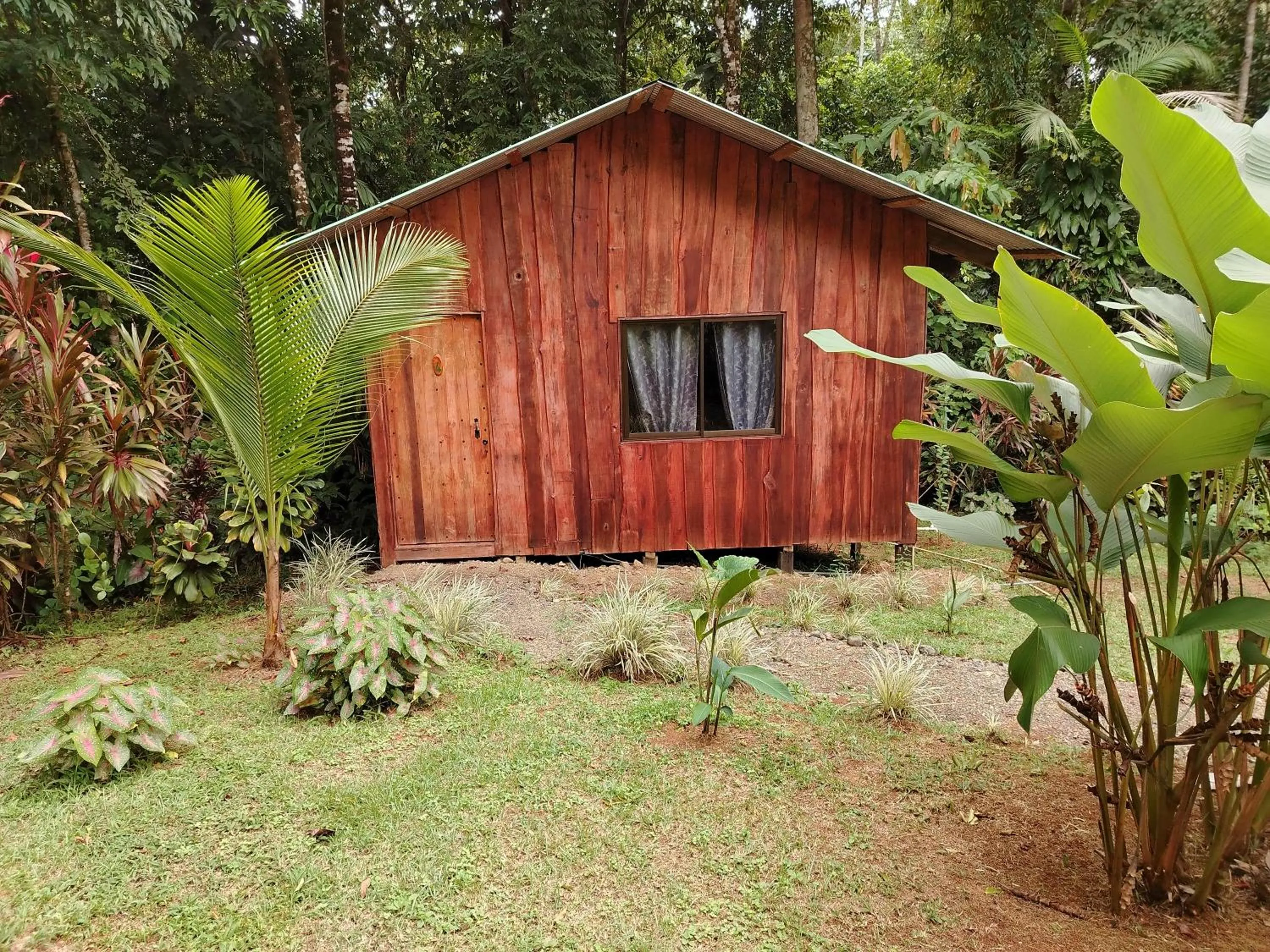 Property building in Citronela Lodge Corcovado