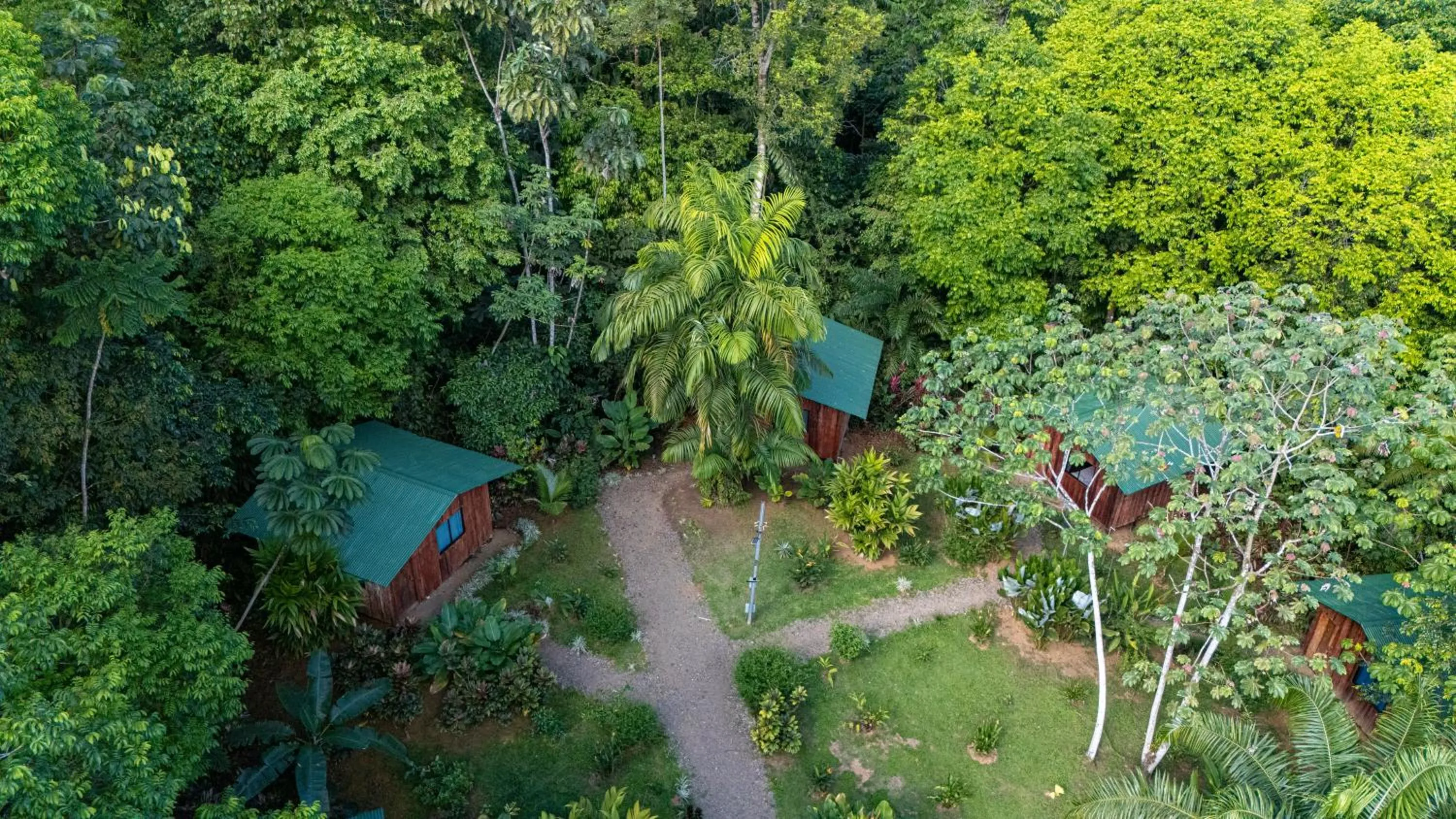 Natural landscape in Citronela Lodge Corcovado