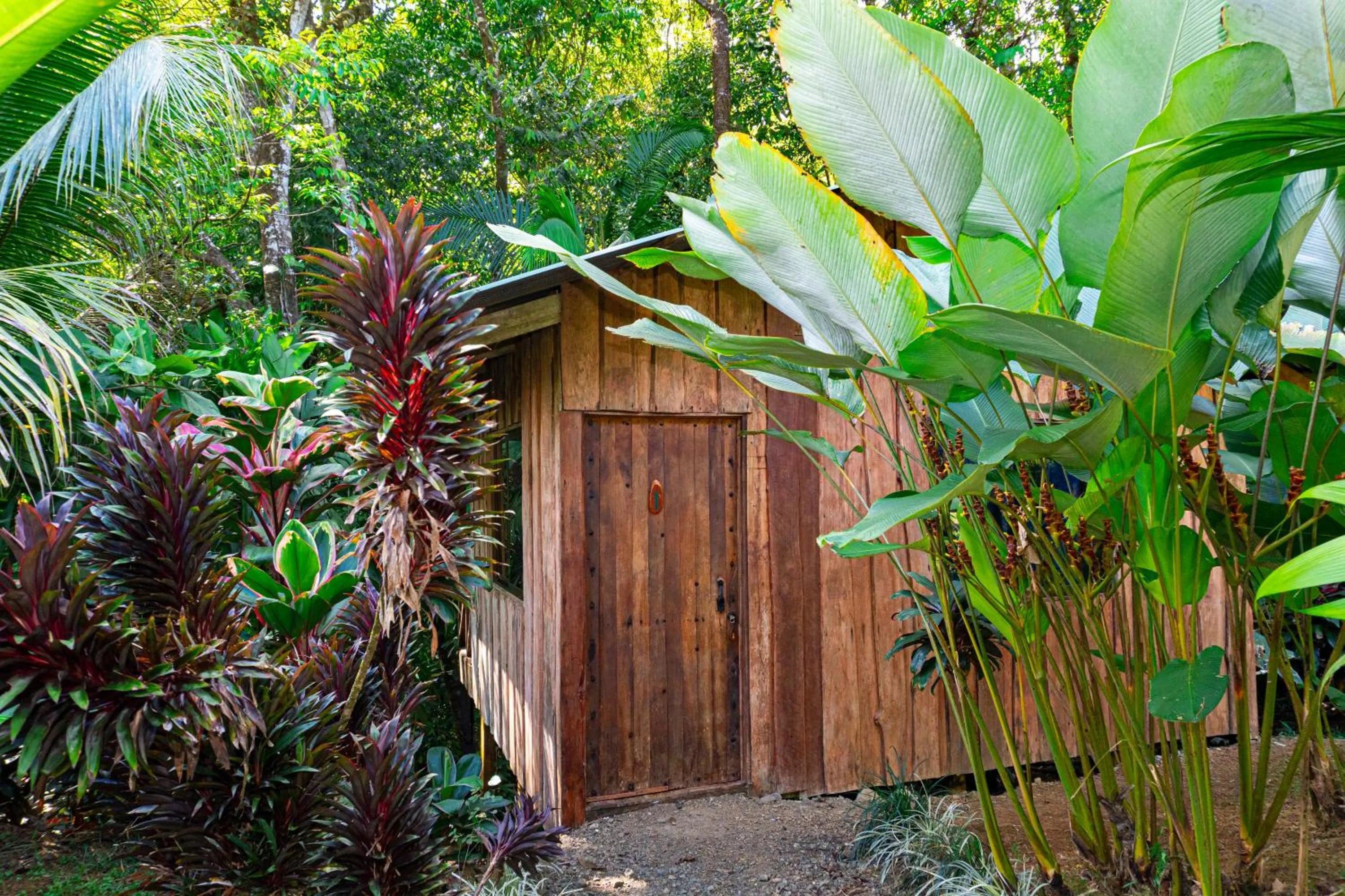 Garden in Citronela Lodge Corcovado