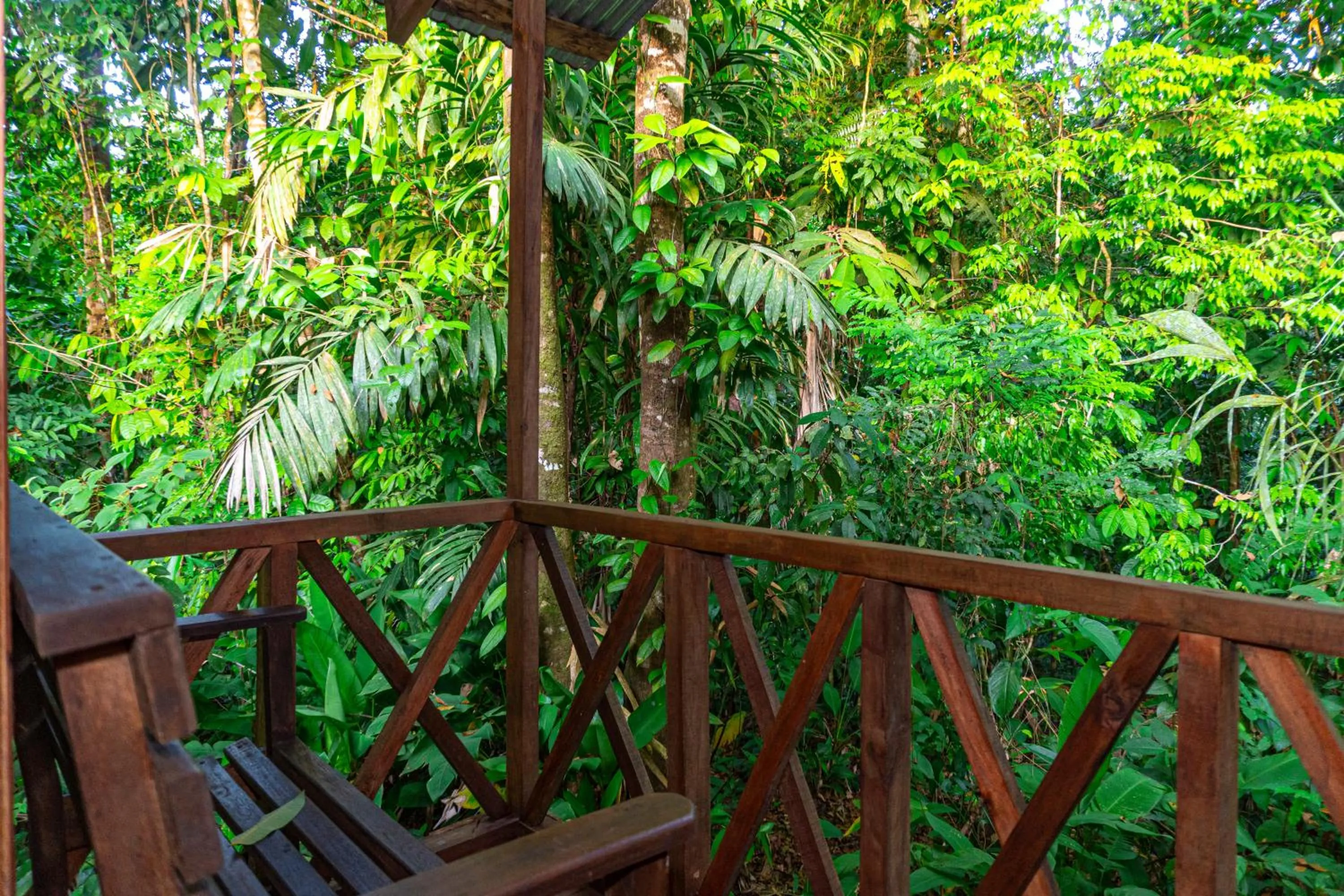 Balcony/Terrace in Citronela Lodge Corcovado