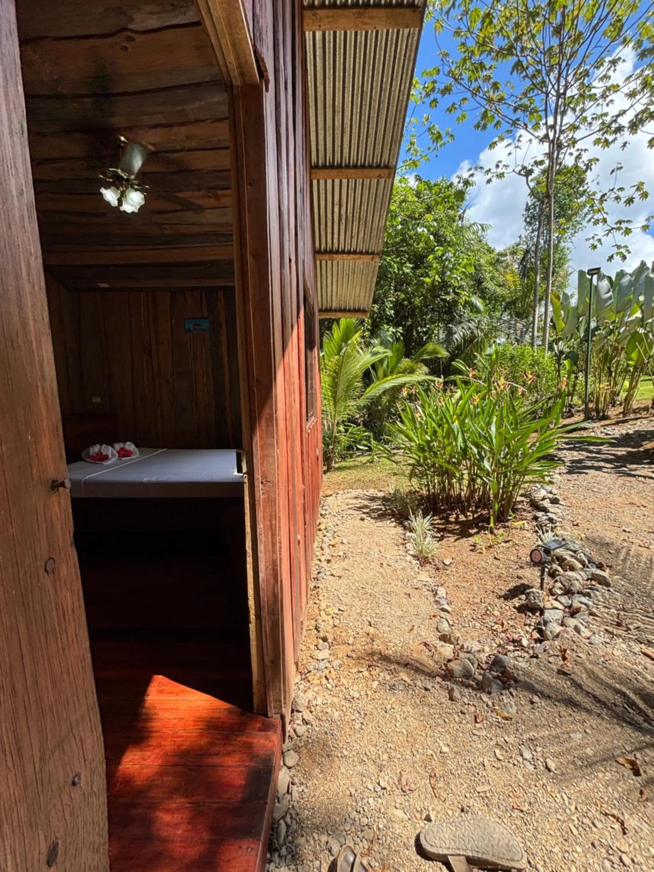 Spring in Citronela Lodge Corcovado