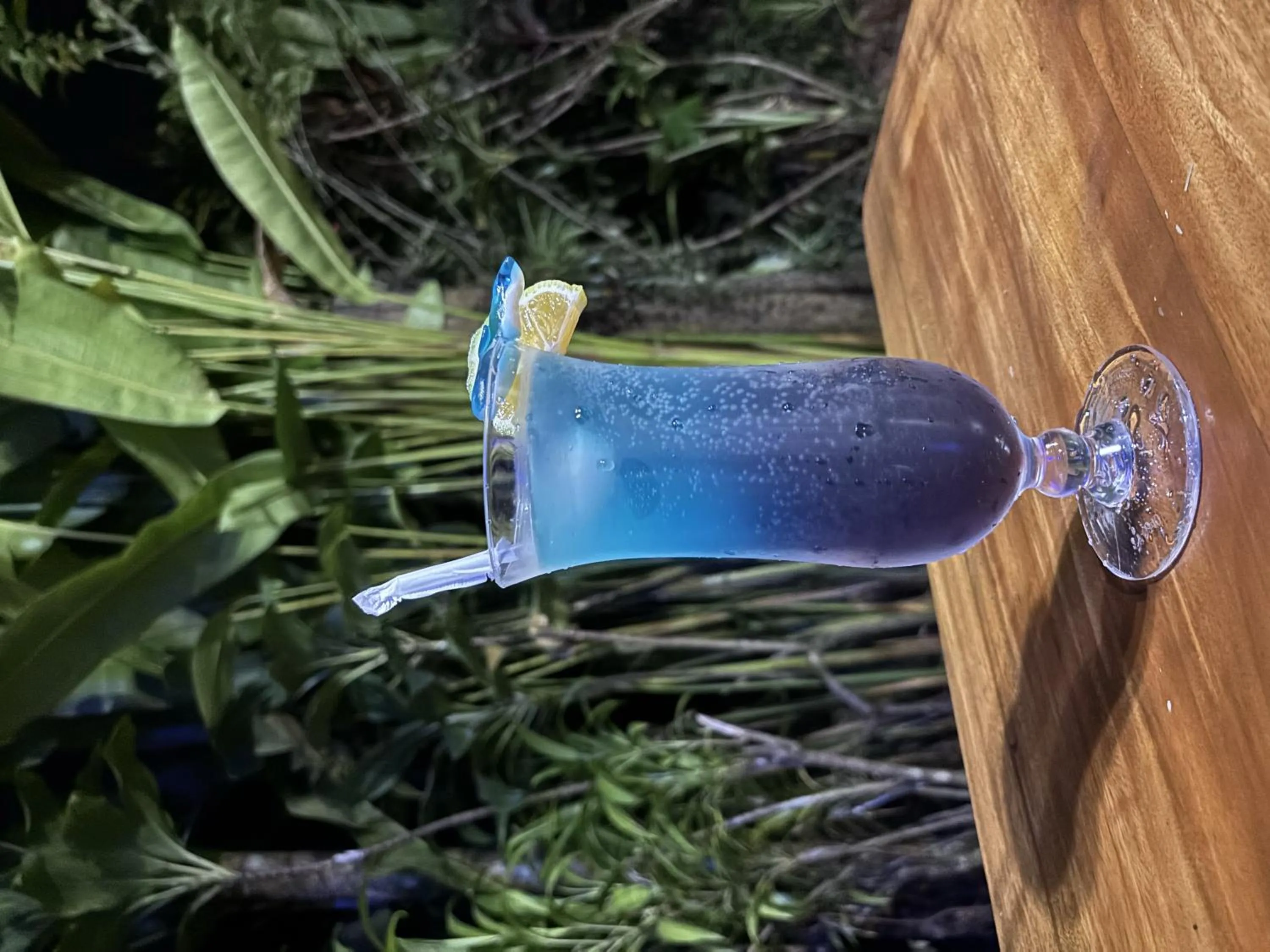 Food and drinks in Citronela Lodge Corcovado