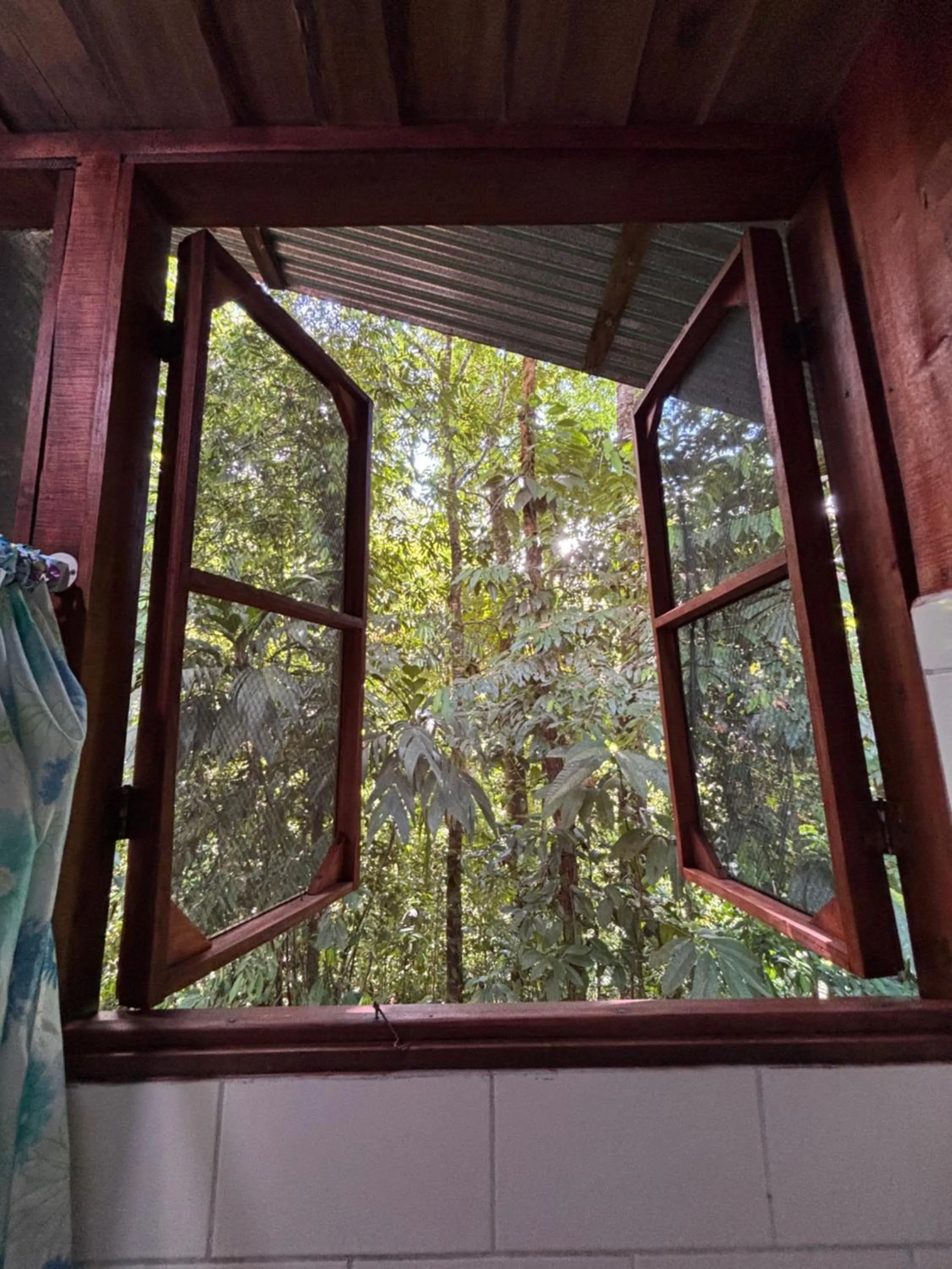 Garden in Citronela Lodge Corcovado