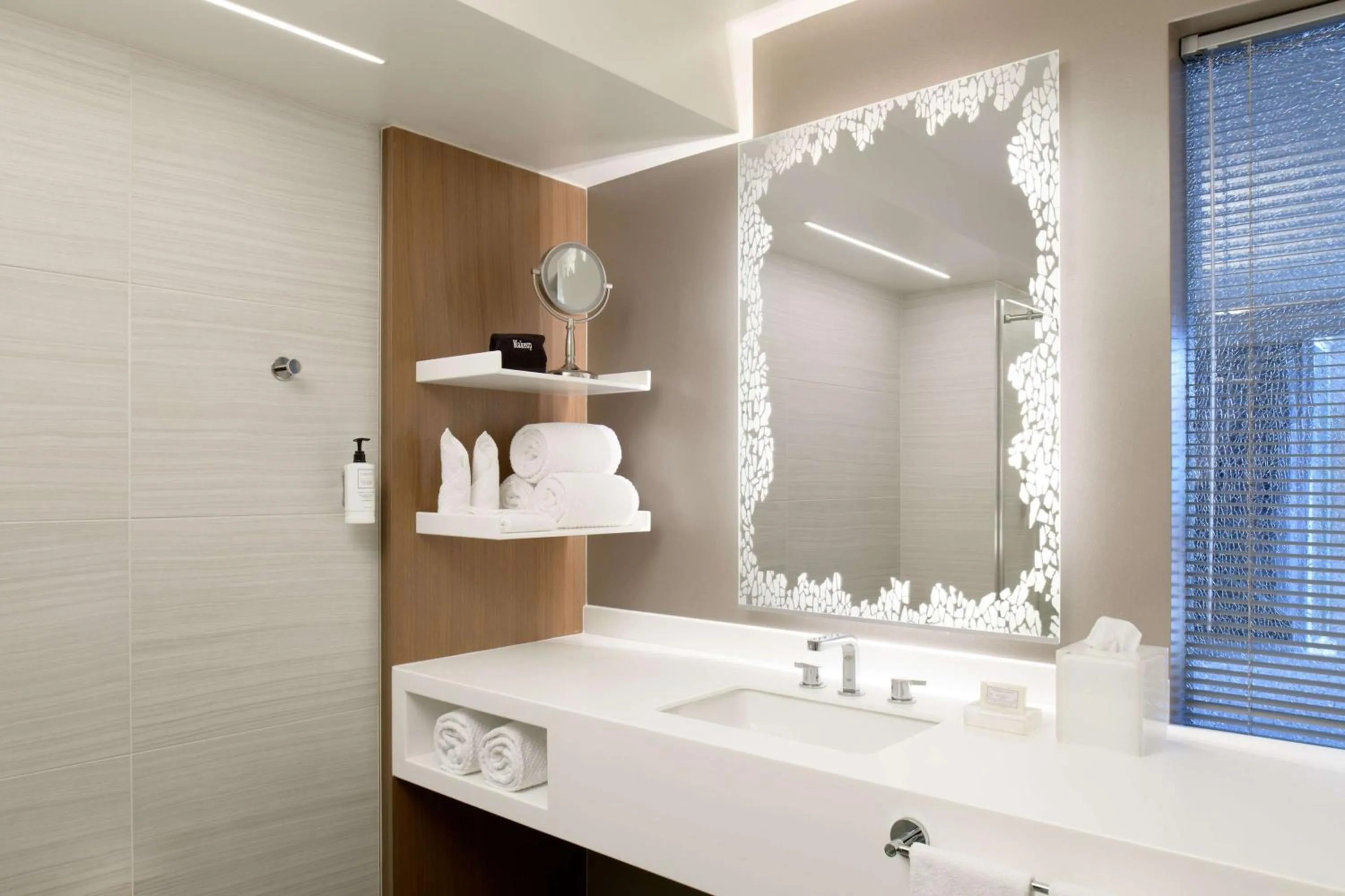 Bathroom in Hilton Washington DC National Mall The Wharf